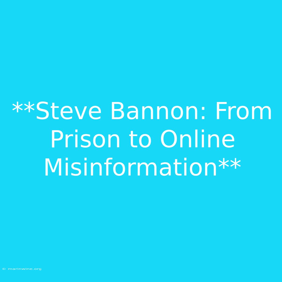 **Steve Bannon: From Prison To Online Misinformation** 