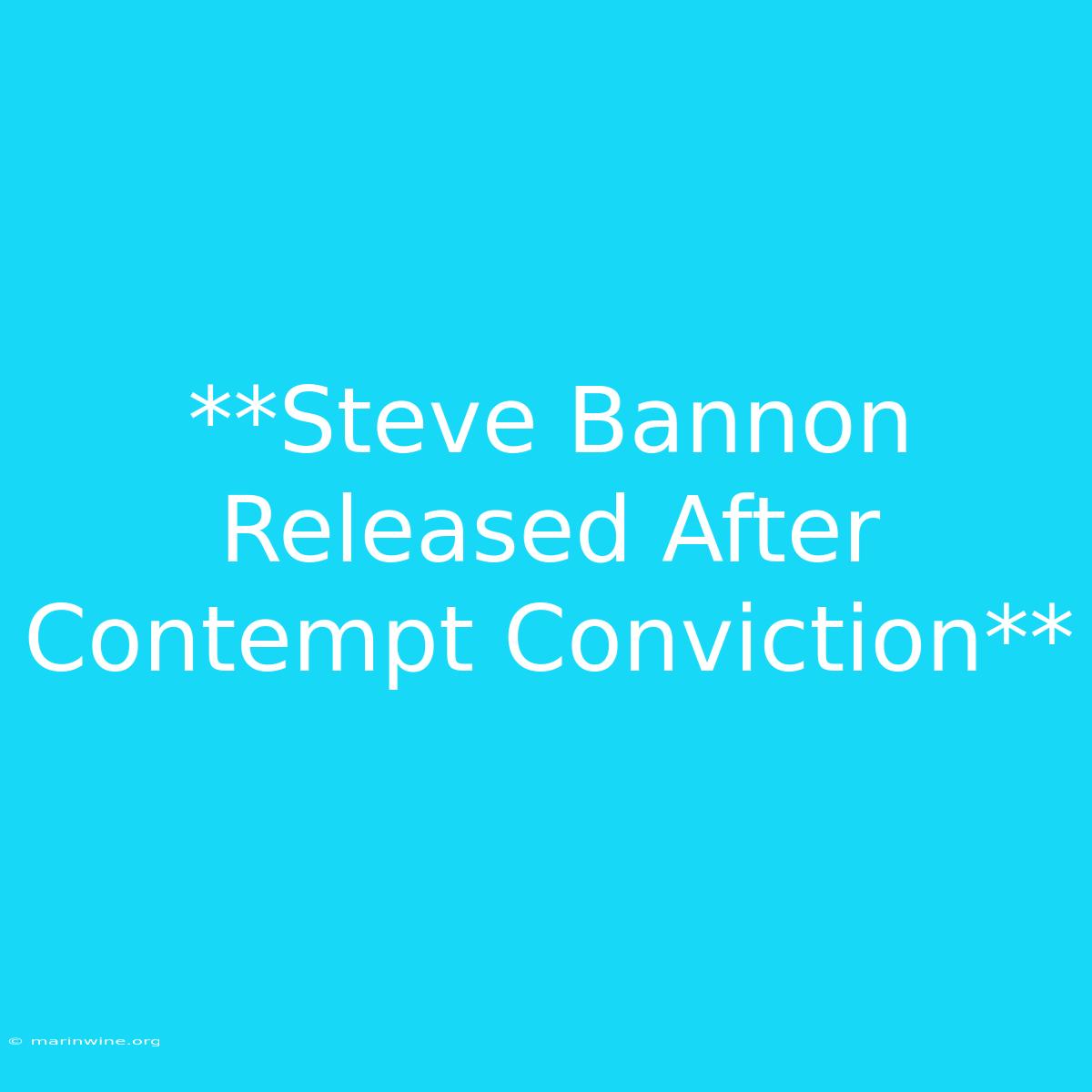 **Steve Bannon Released After Contempt Conviction** 