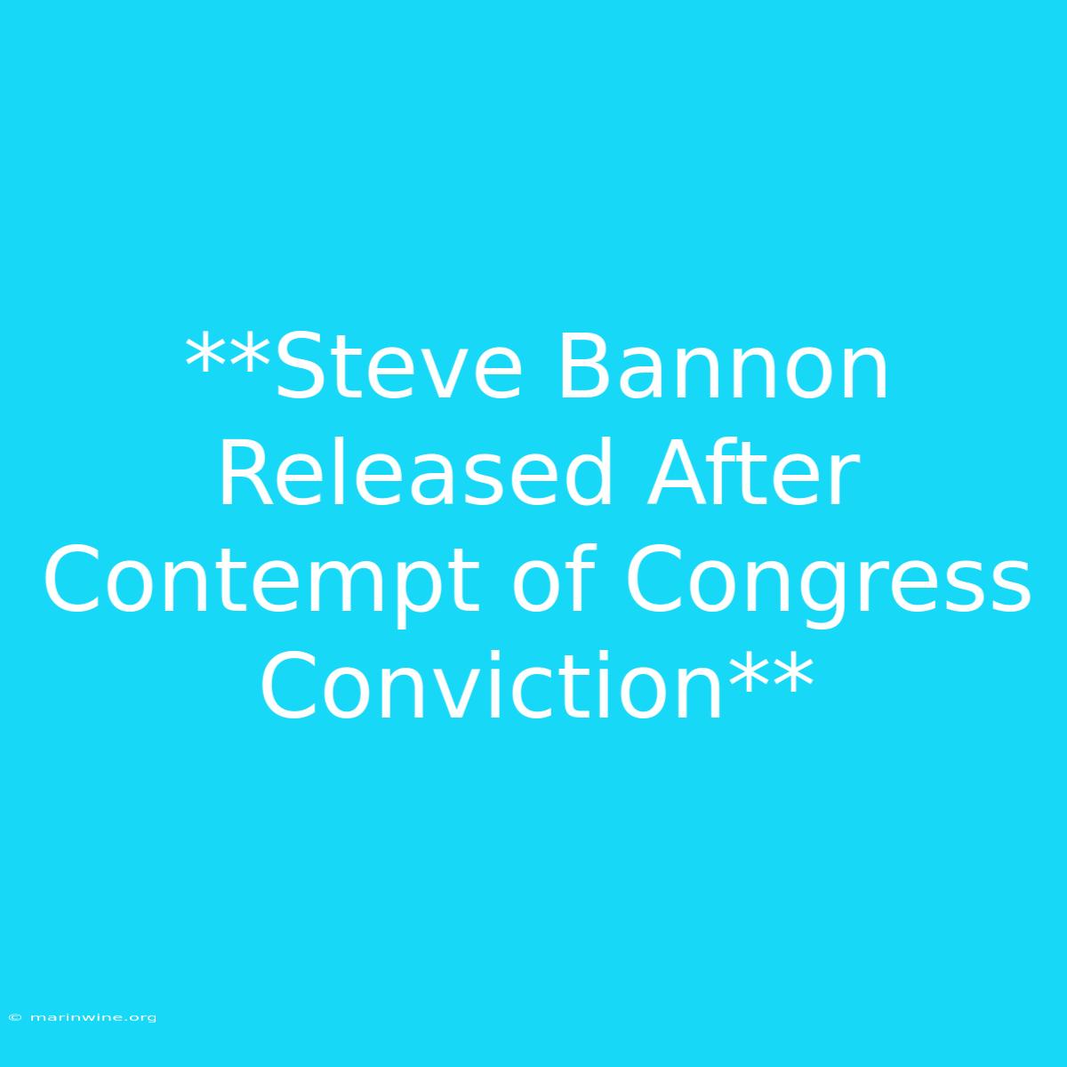 **Steve Bannon Released After Contempt Of Congress Conviction** 