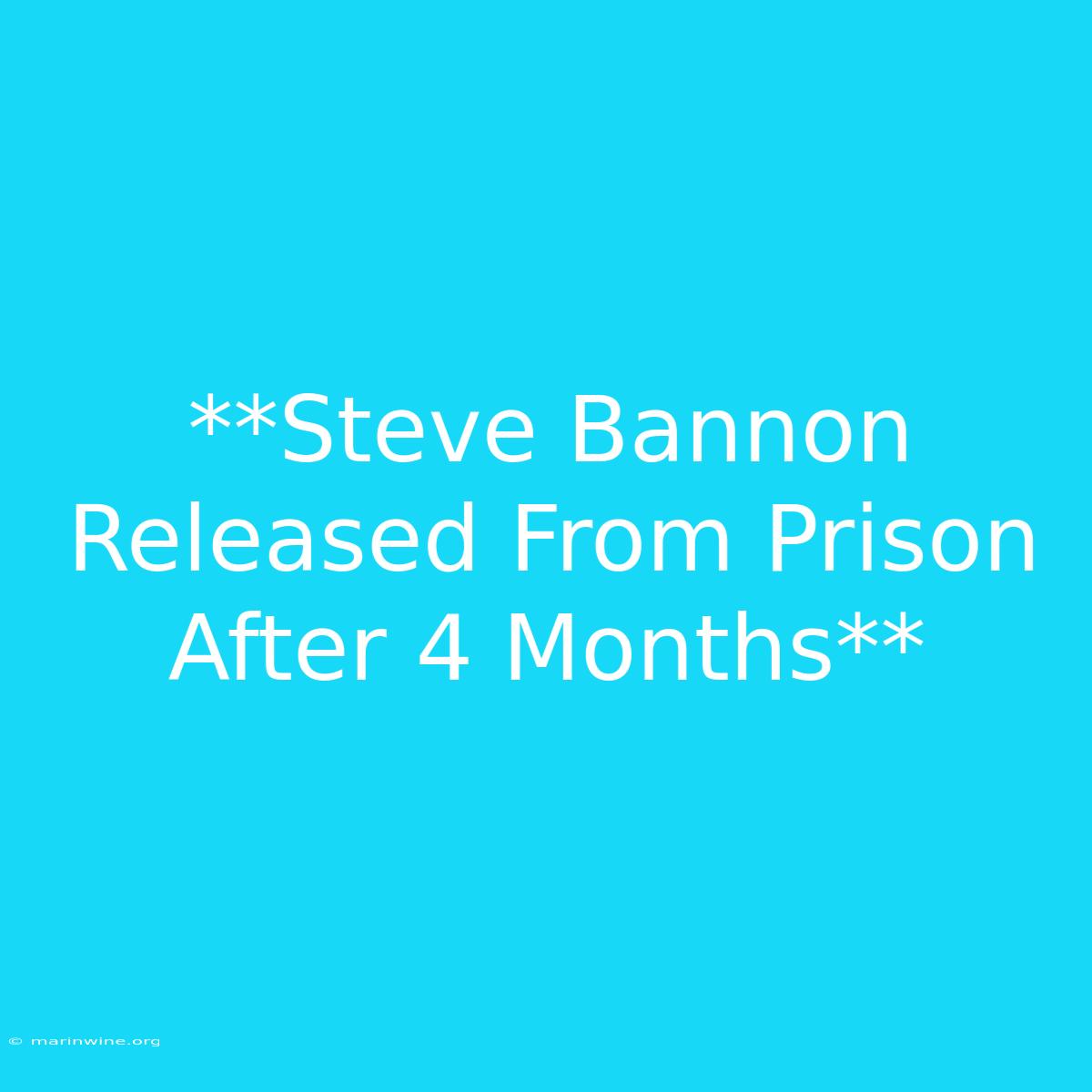 **Steve Bannon Released From Prison After 4 Months**