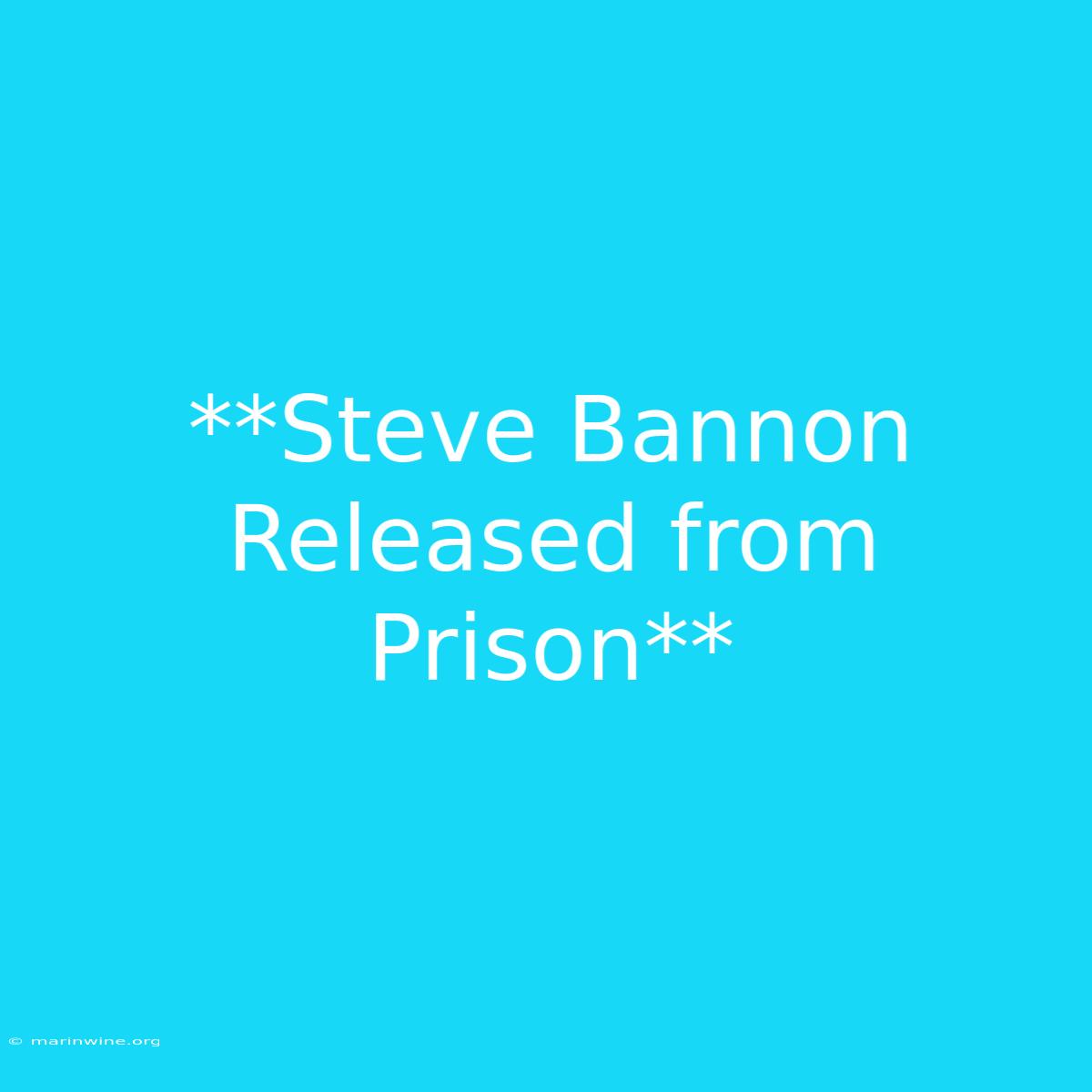 **Steve Bannon Released From Prison**