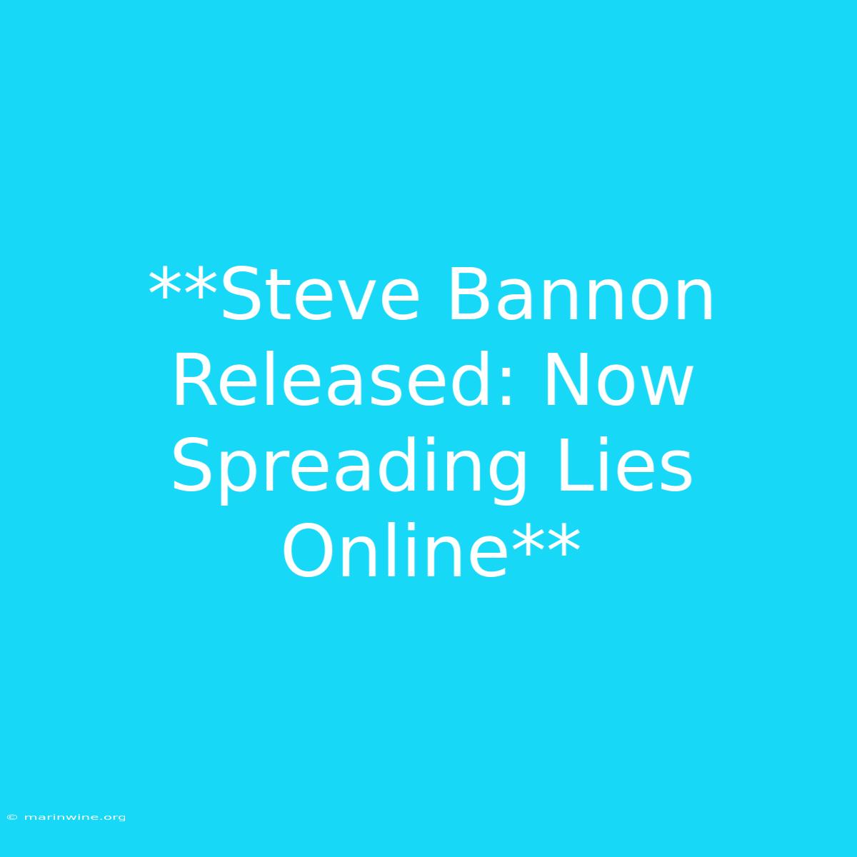 **Steve Bannon Released: Now Spreading Lies Online**