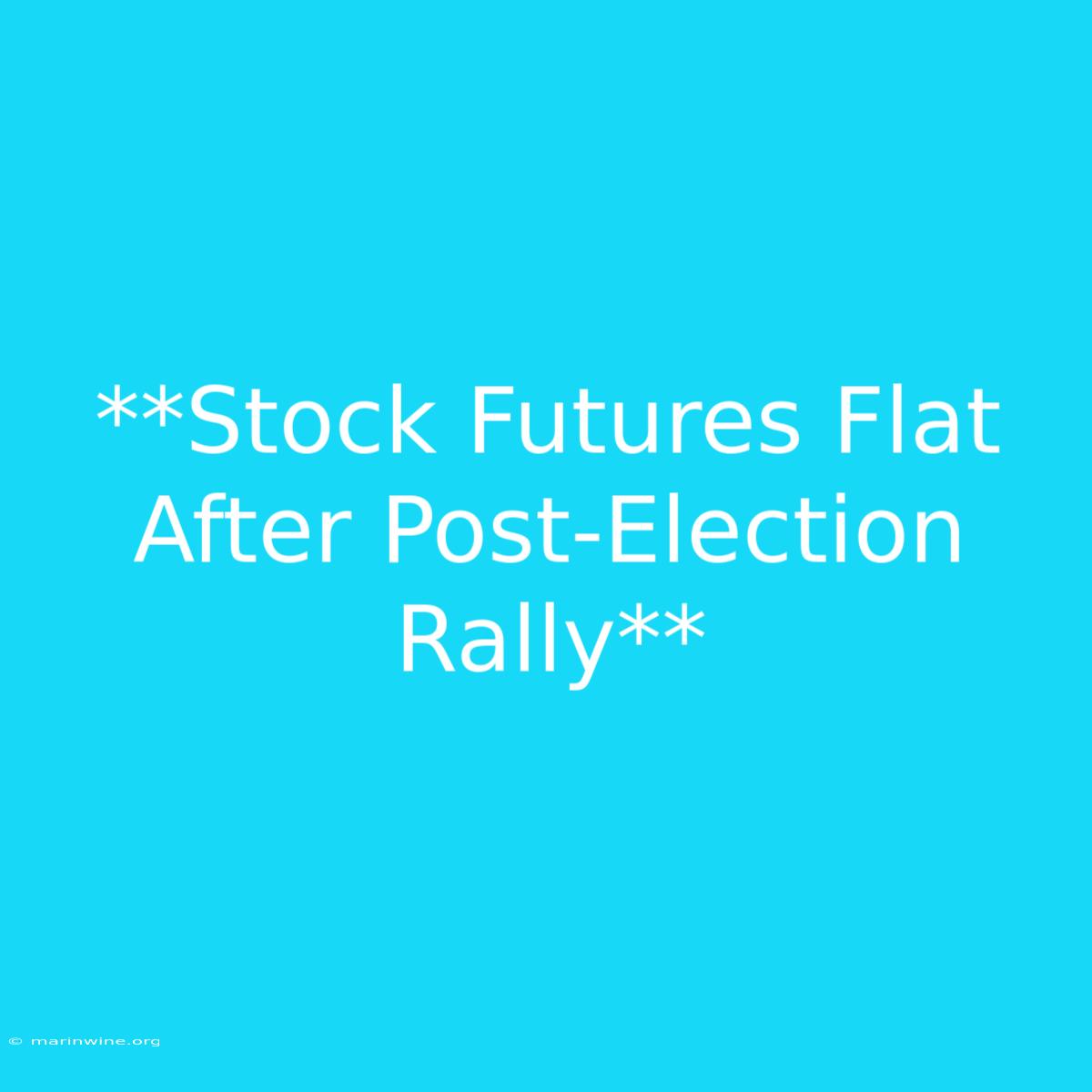 **Stock Futures Flat After Post-Election Rally**