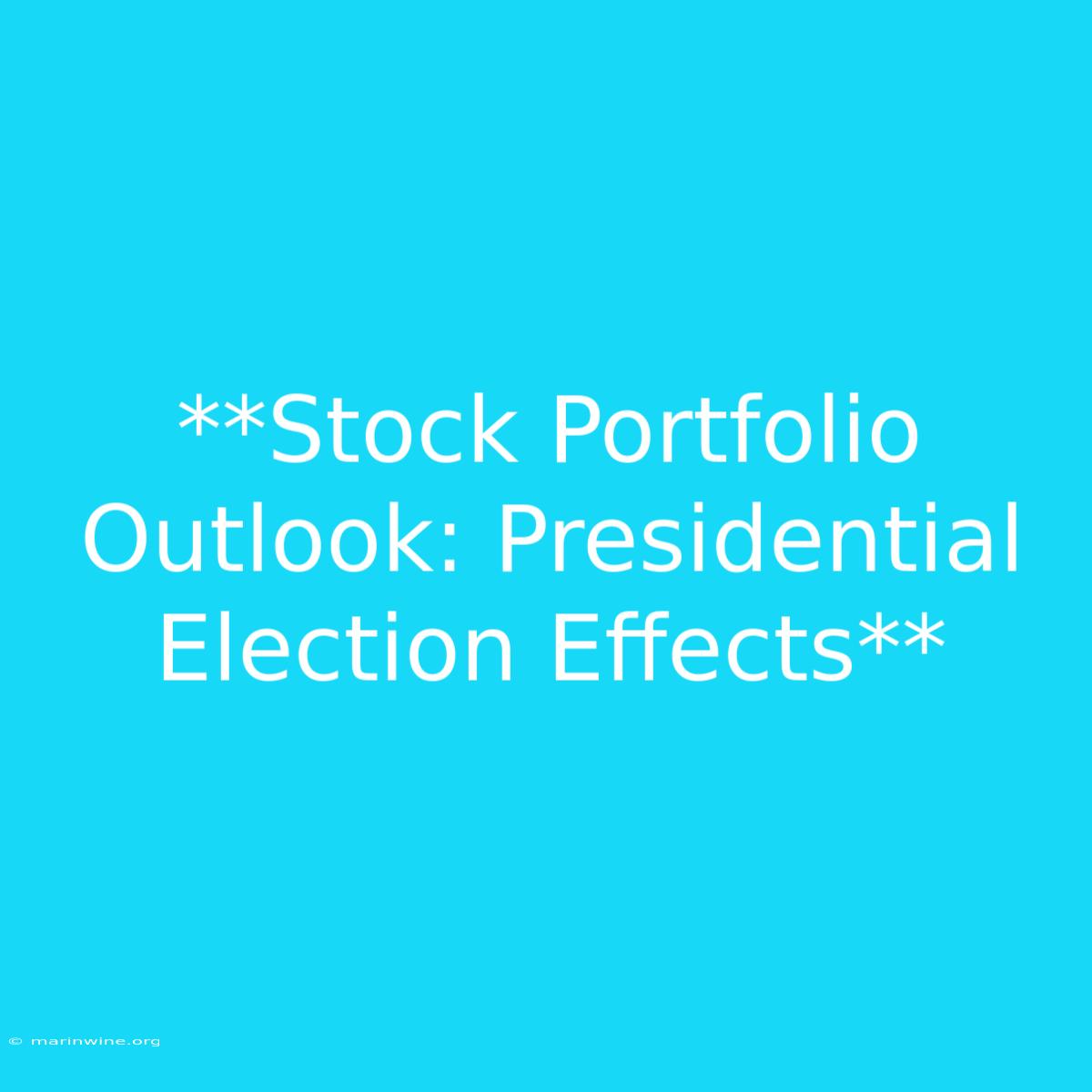 **Stock Portfolio Outlook: Presidential Election Effects**