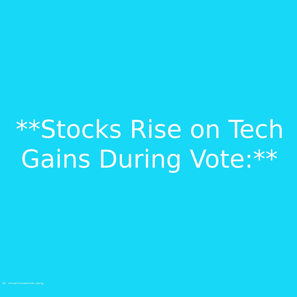 **Stocks Rise On Tech Gains During Vote:**