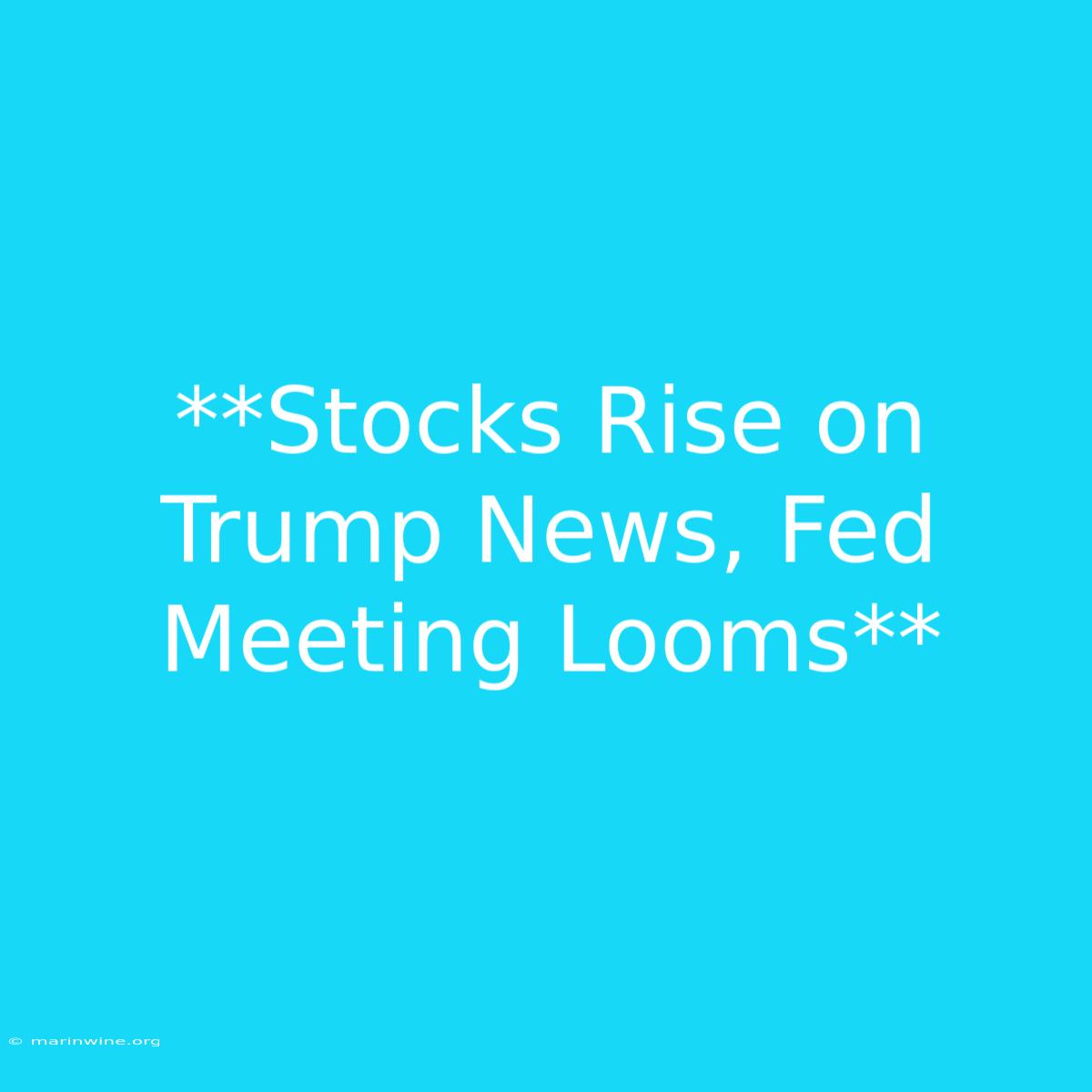 **Stocks Rise On Trump News, Fed Meeting Looms**