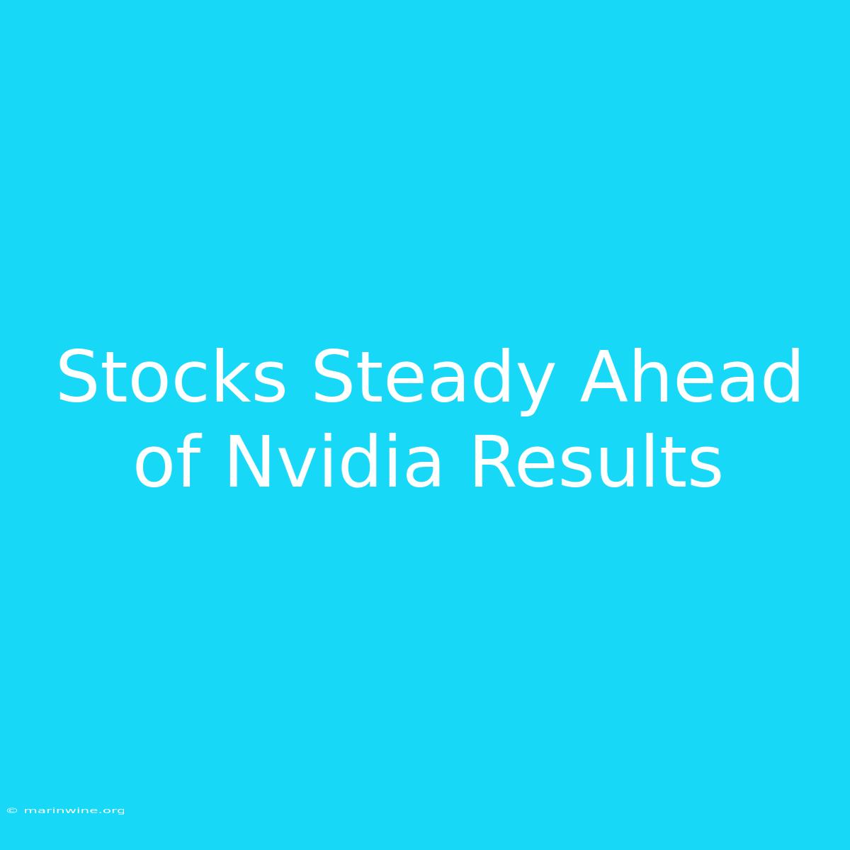 Stocks Steady Ahead Of Nvidia Results