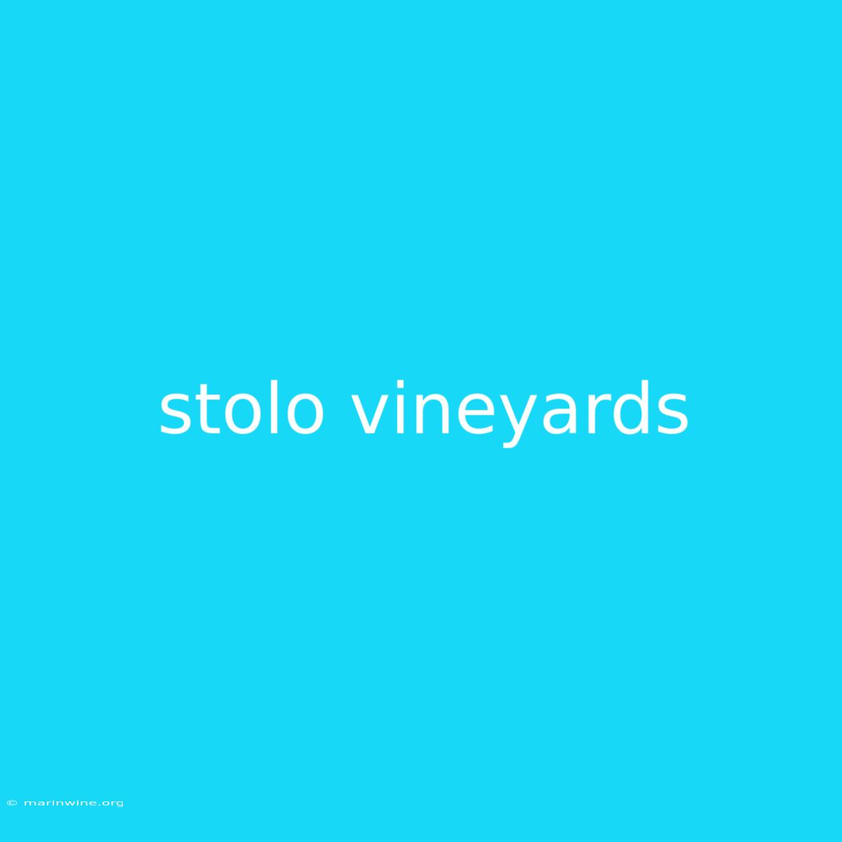 Stolo Vineyards