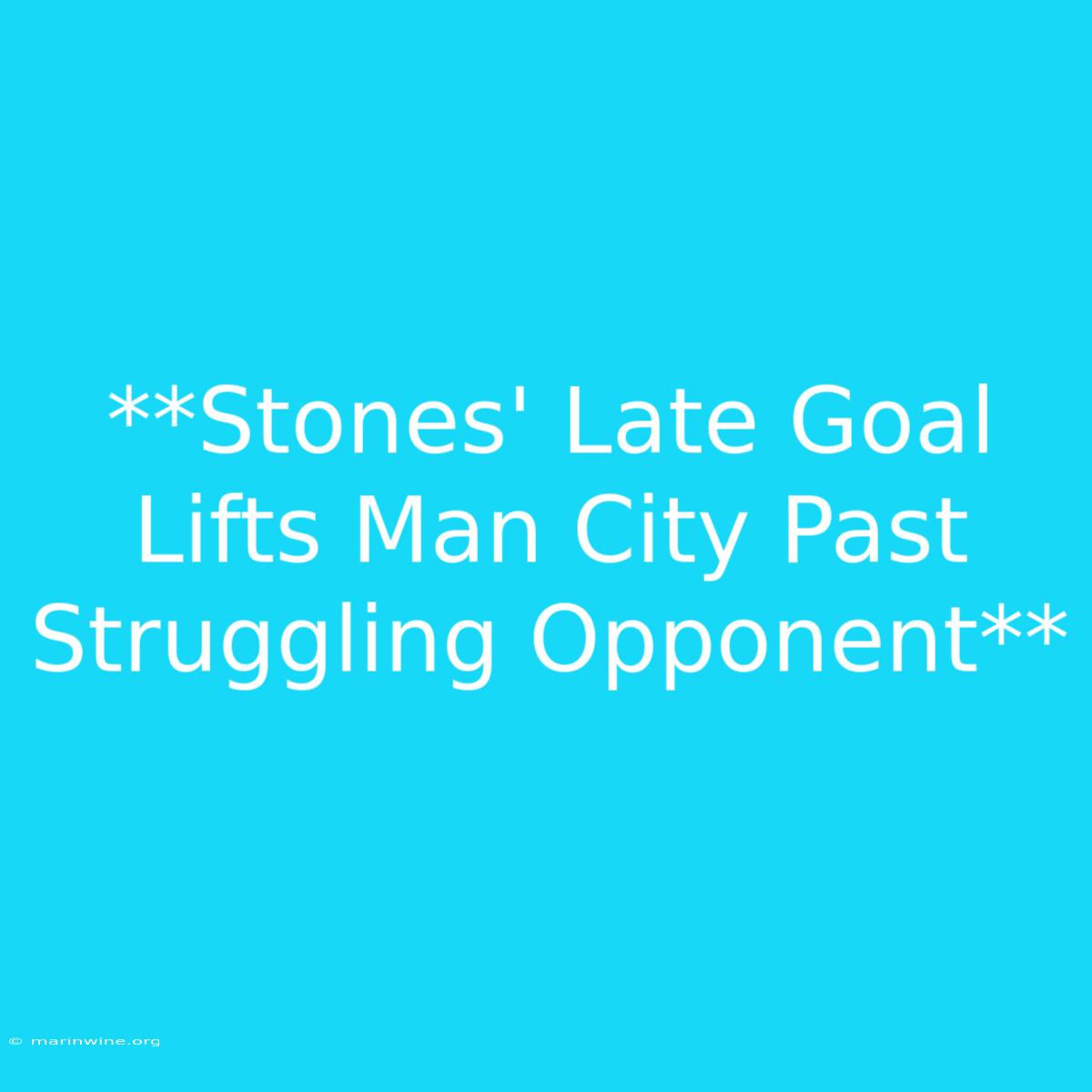 **Stones' Late Goal Lifts Man City Past Struggling Opponent**