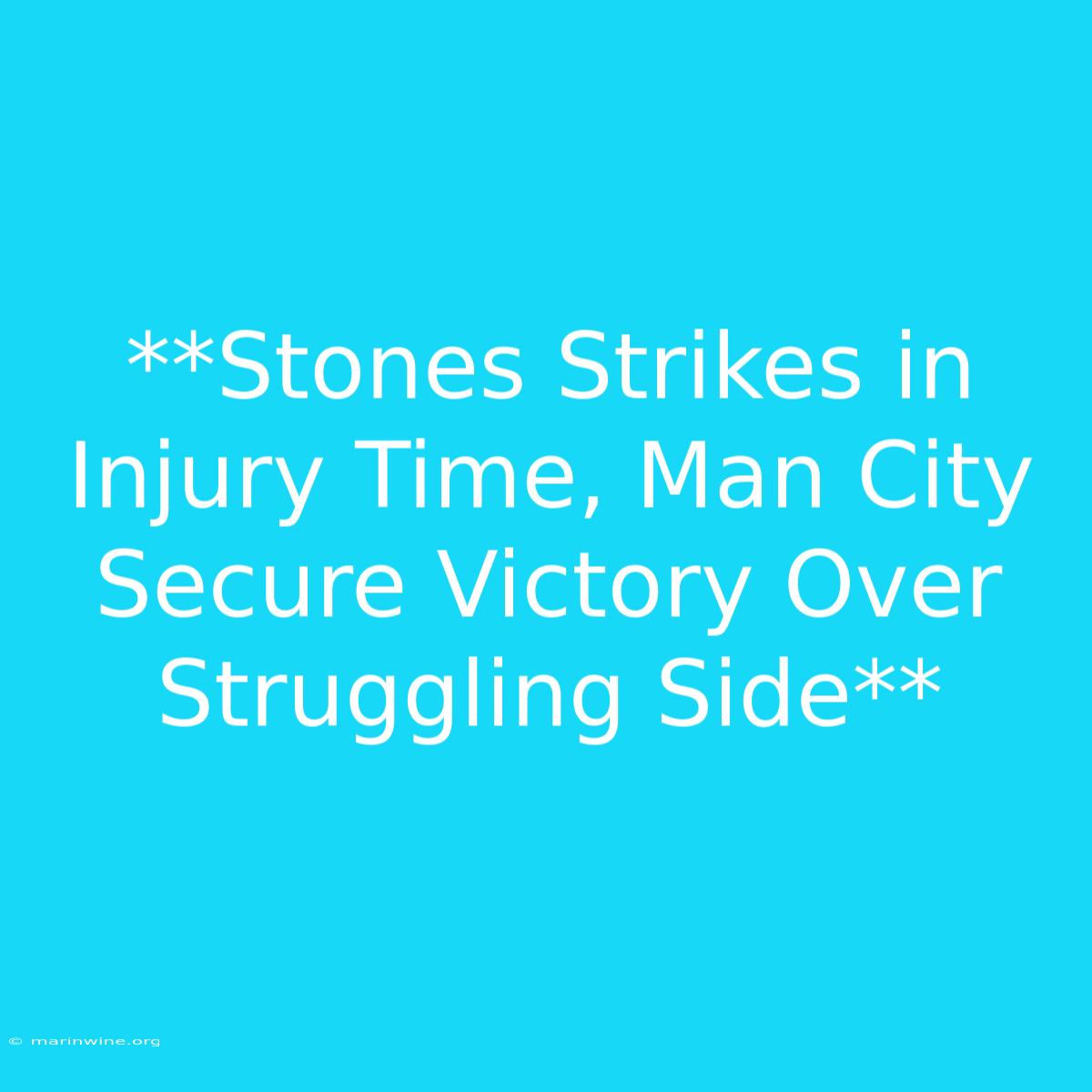 **Stones Strikes In Injury Time, Man City Secure Victory Over Struggling Side** 