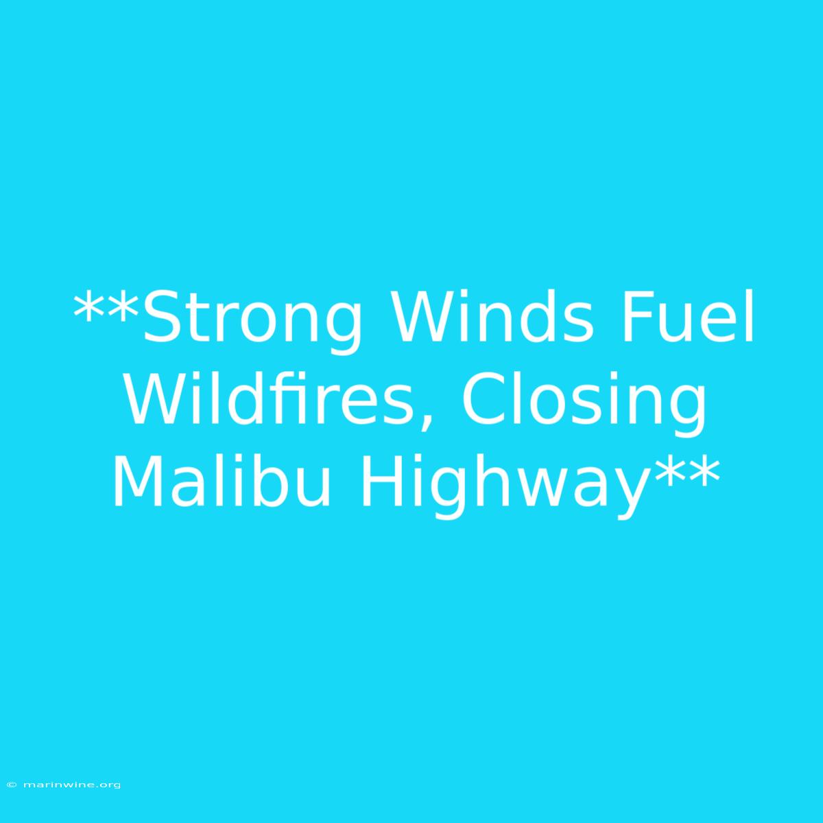 **Strong Winds Fuel Wildfires, Closing Malibu Highway**