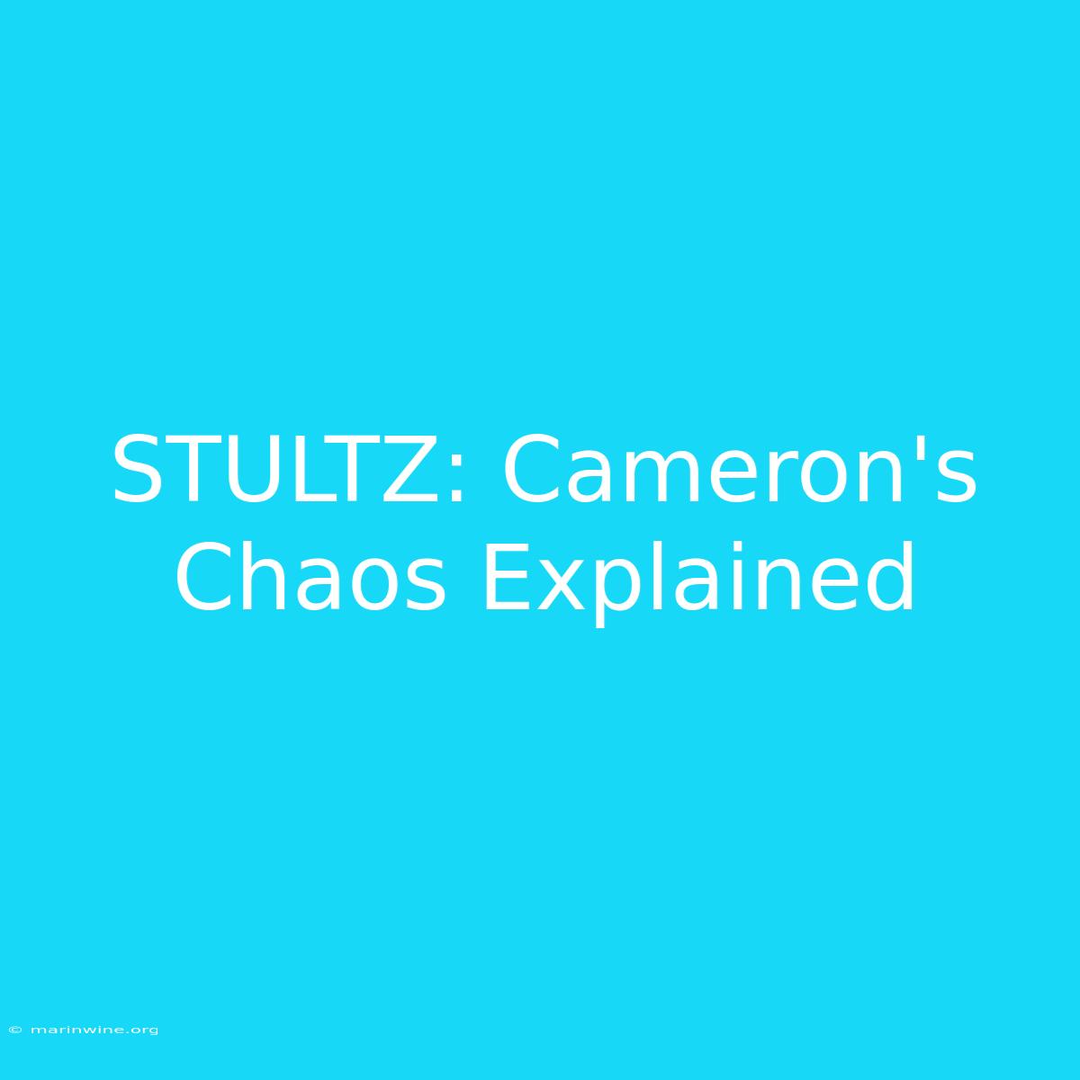 STULTZ: Cameron's Chaos Explained