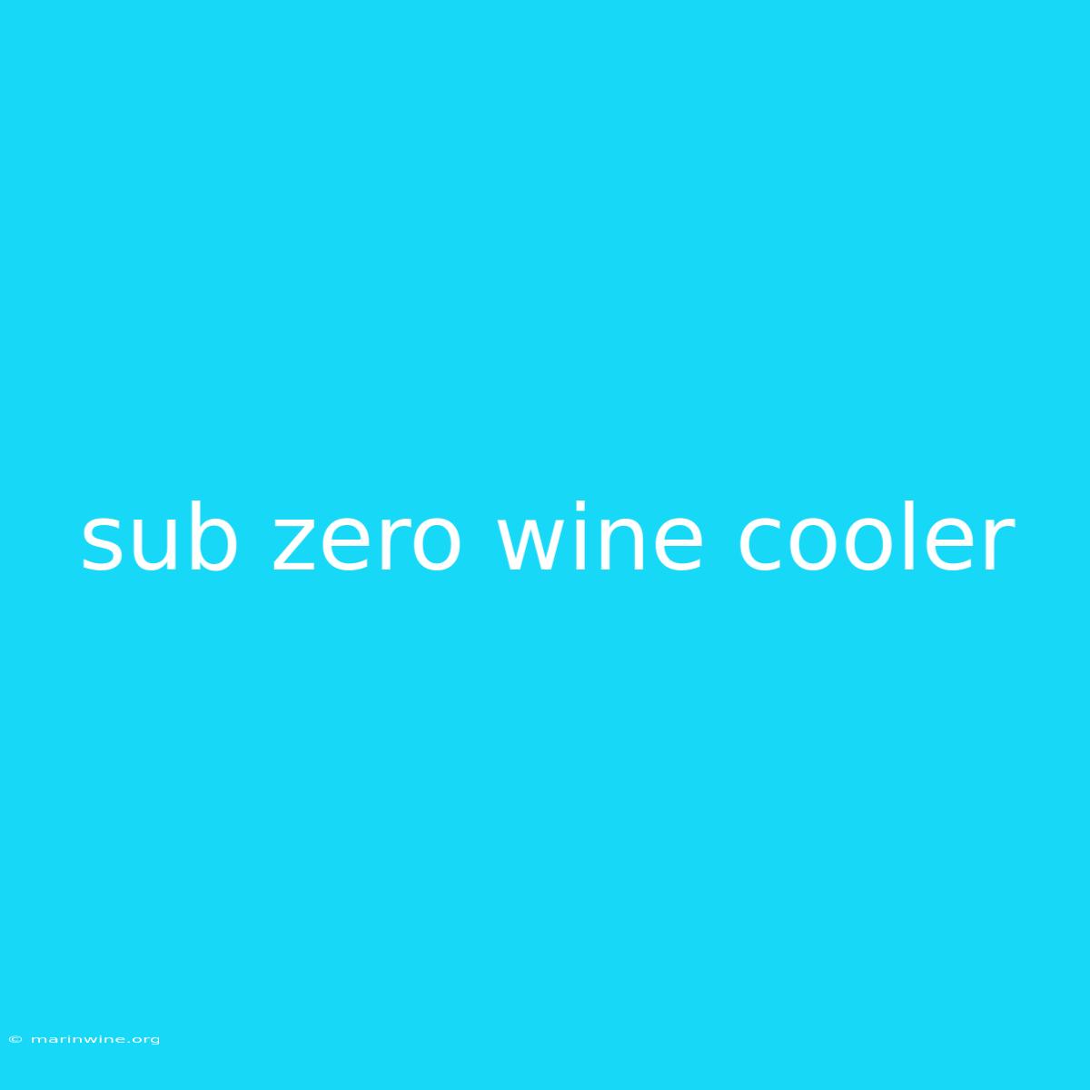 Sub Zero Wine Cooler