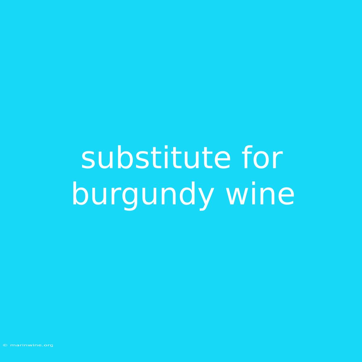 Substitute For Burgundy Wine