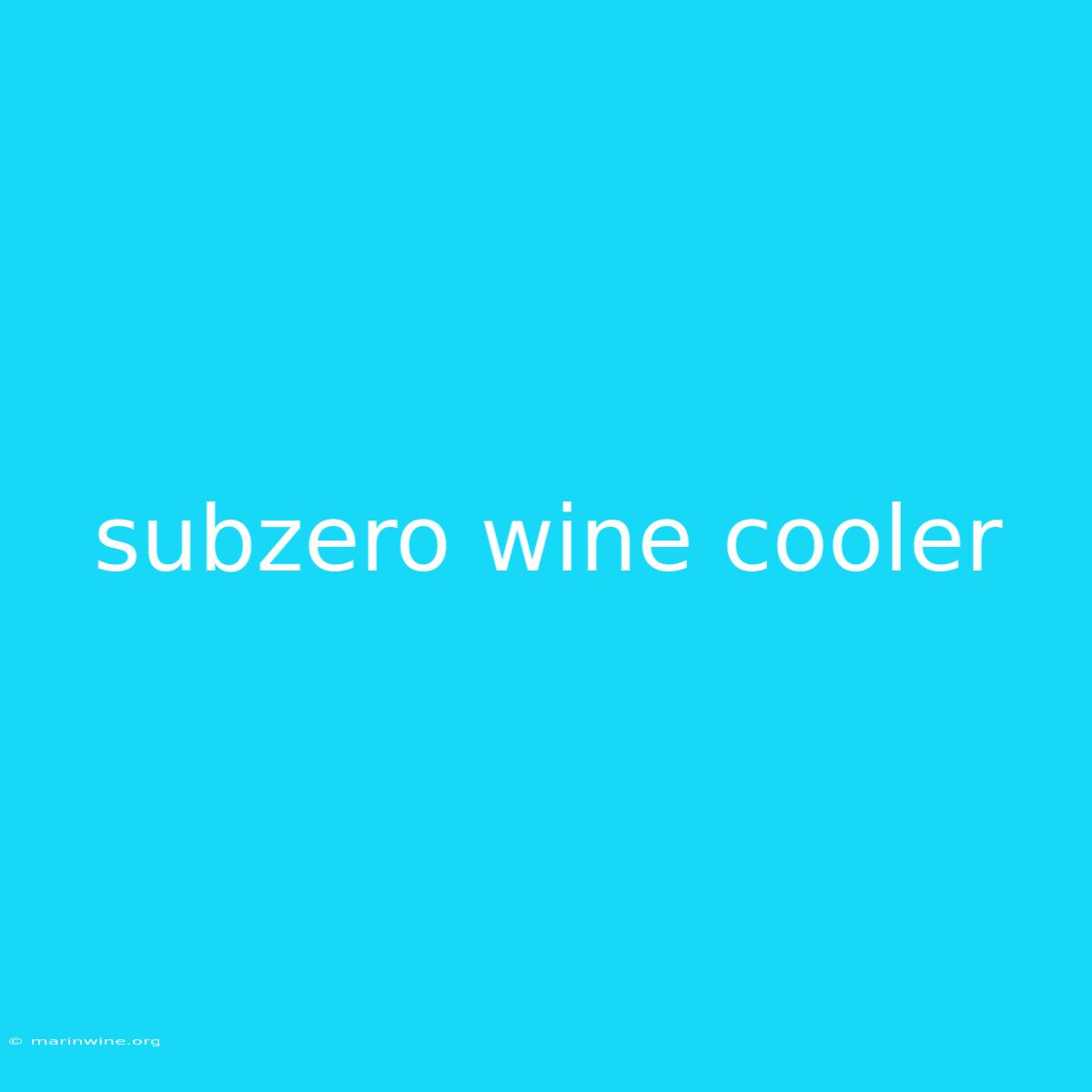 Subzero Wine Cooler