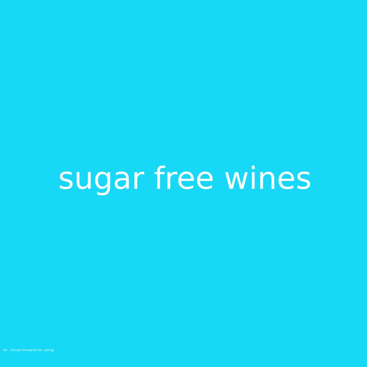 Sugar Free Wines