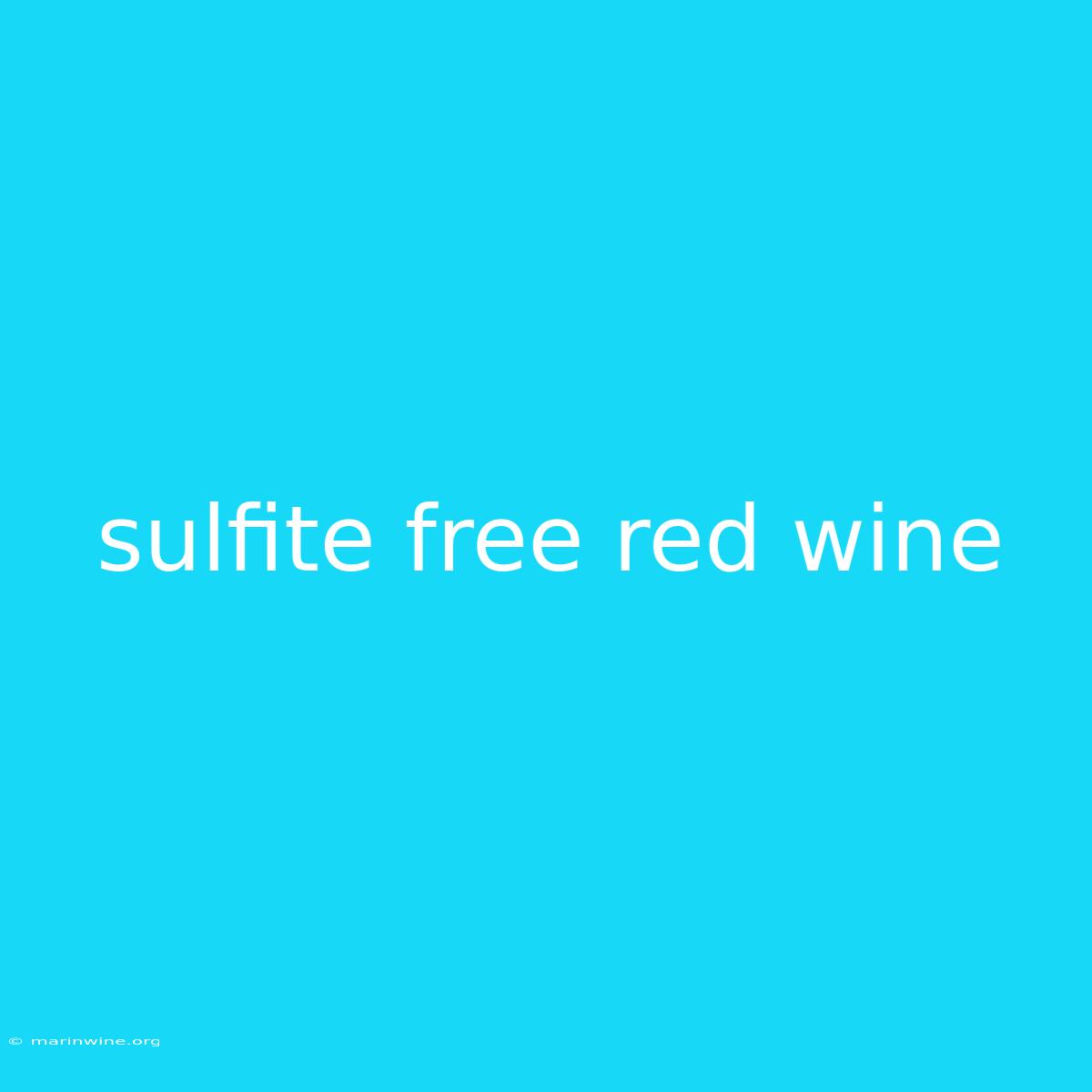 Sulfite Free Red Wine