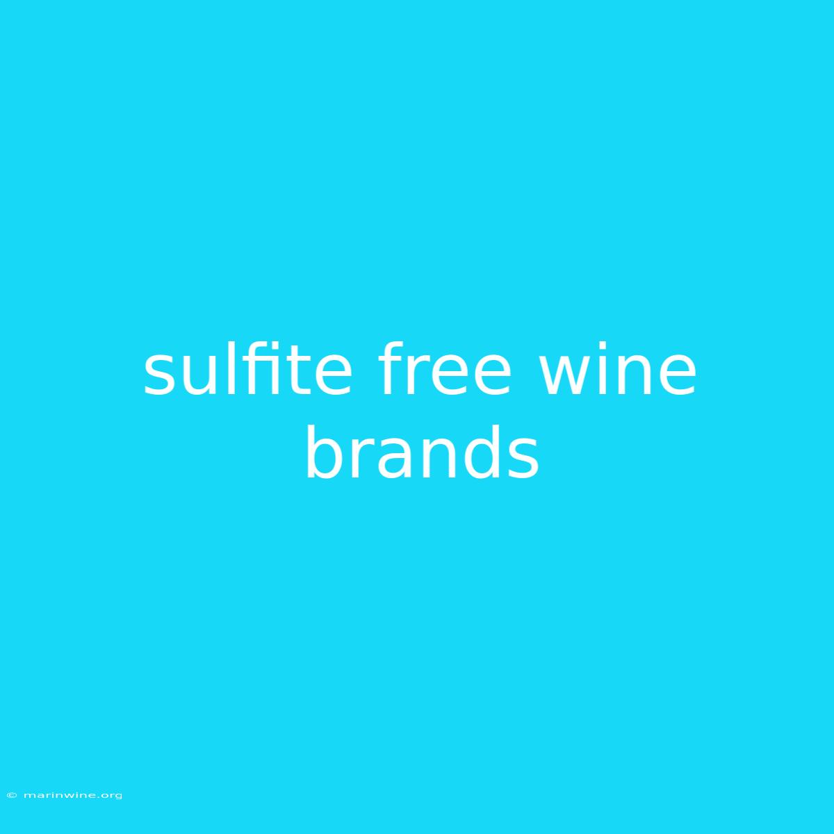 Sulfite Free Wine Brands