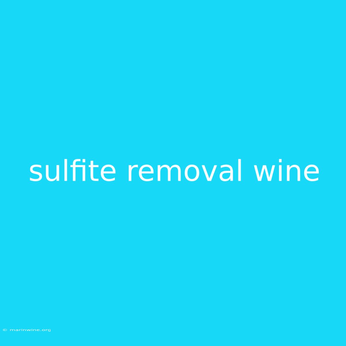 Sulfite Removal Wine