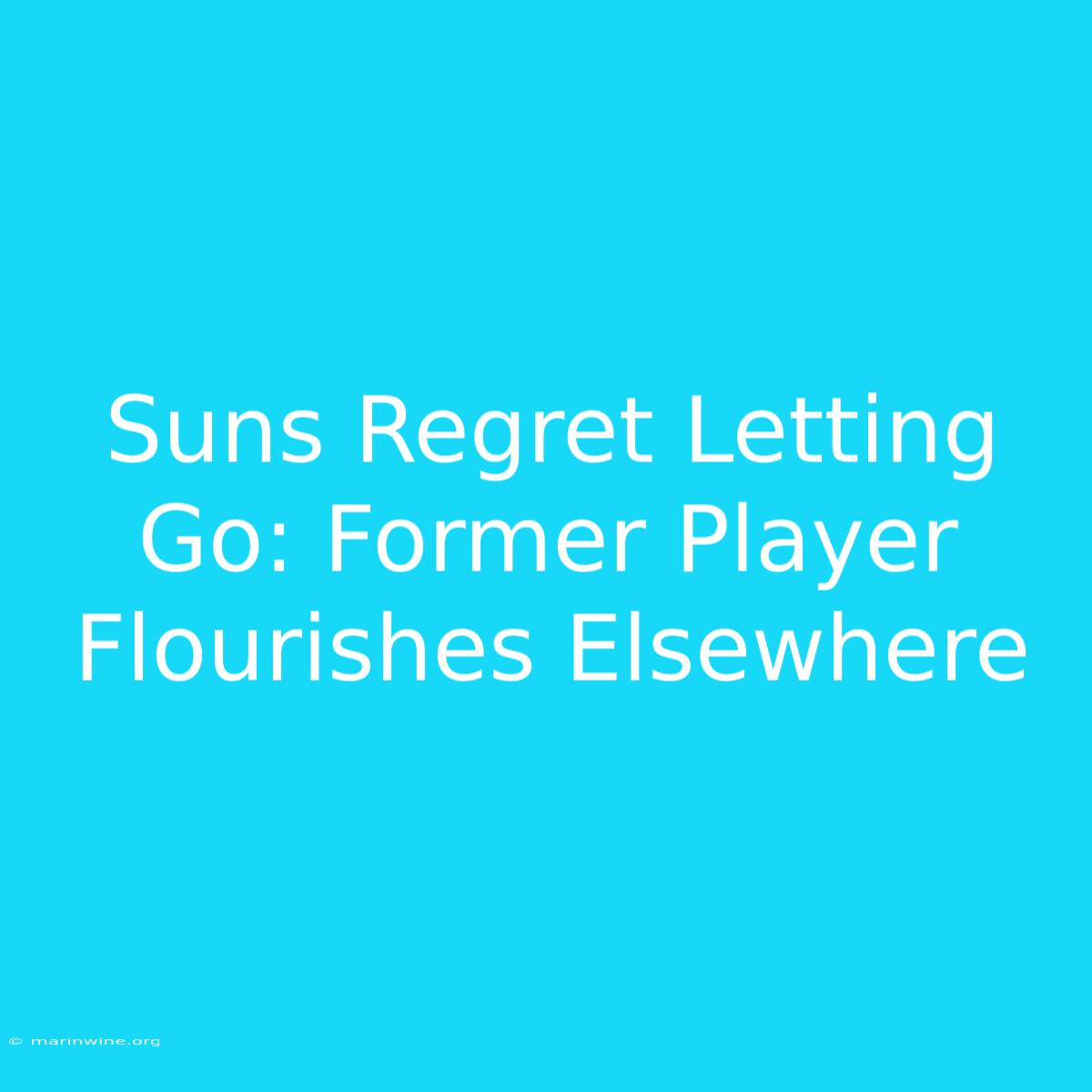 Suns Regret Letting Go: Former Player Flourishes Elsewhere