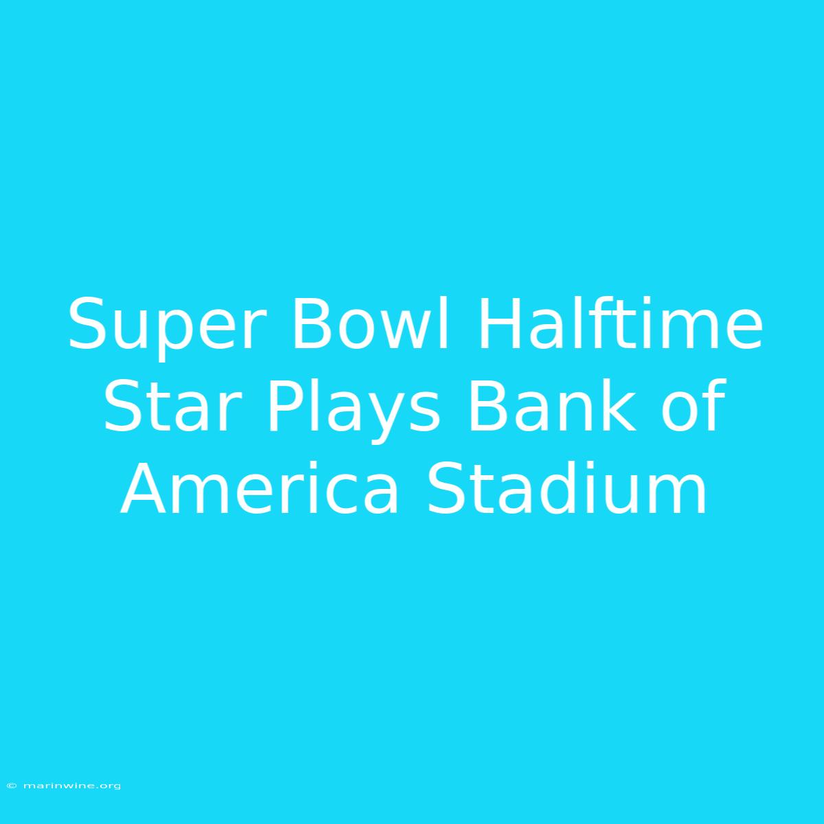 Super Bowl Halftime Star Plays Bank Of America Stadium