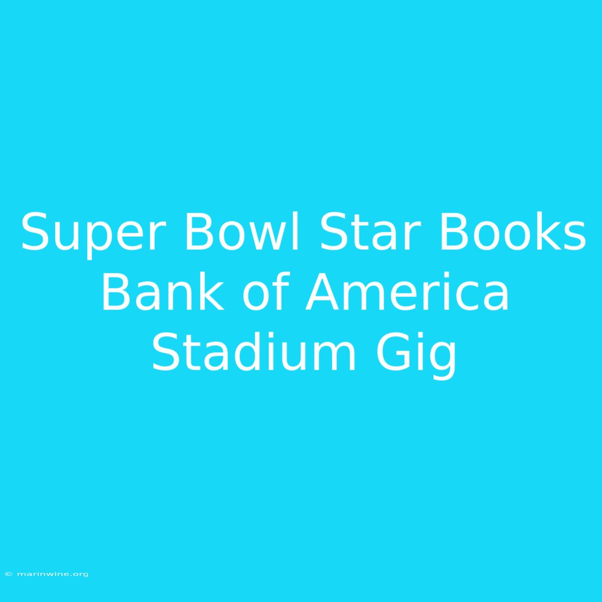 Super Bowl Star Books Bank Of America Stadium Gig