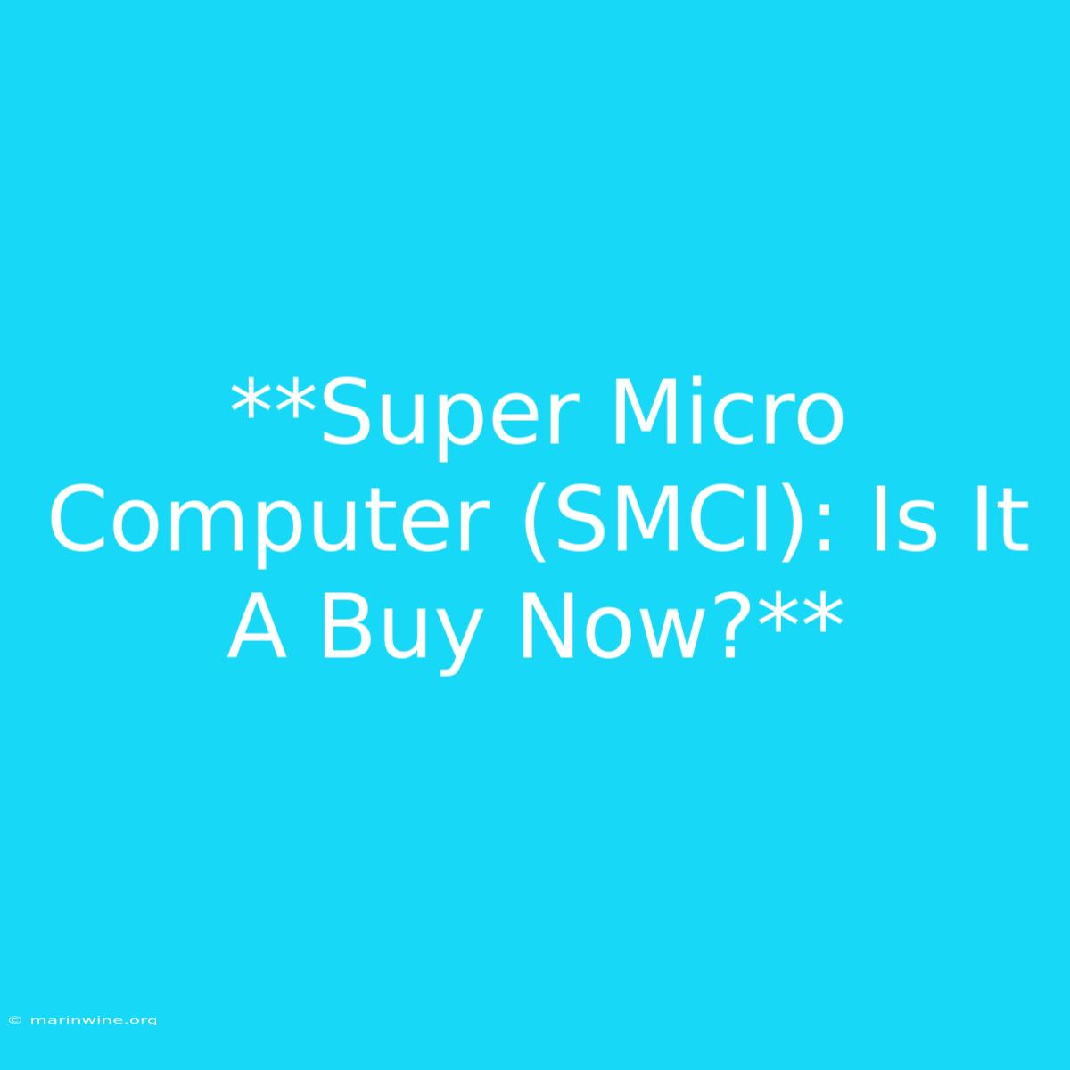 **Super Micro Computer (SMCI): Is It A Buy Now?**