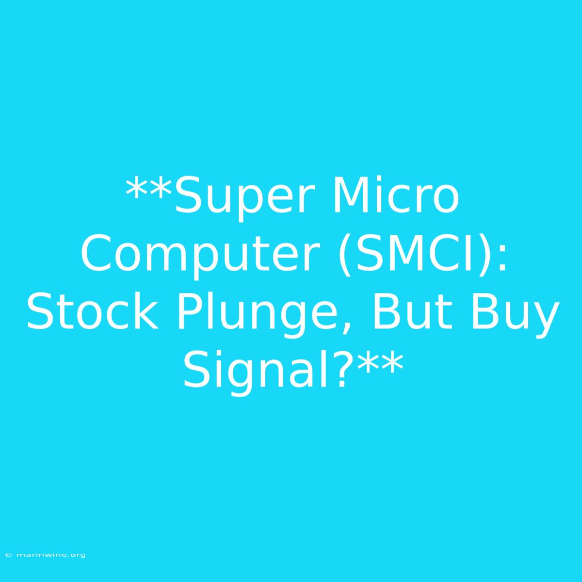 **Super Micro Computer (SMCI): Stock Plunge, But Buy Signal?**