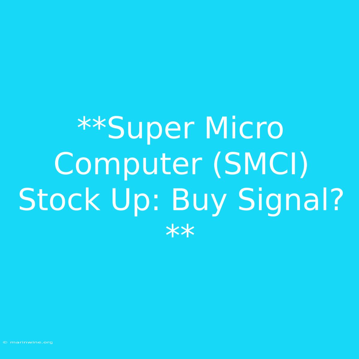 **Super Micro Computer (SMCI) Stock Up: Buy Signal?**