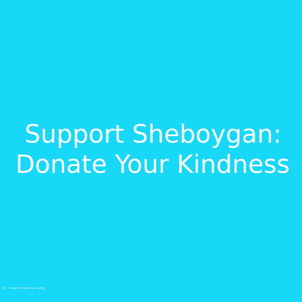 Support Sheboygan: Donate Your Kindness