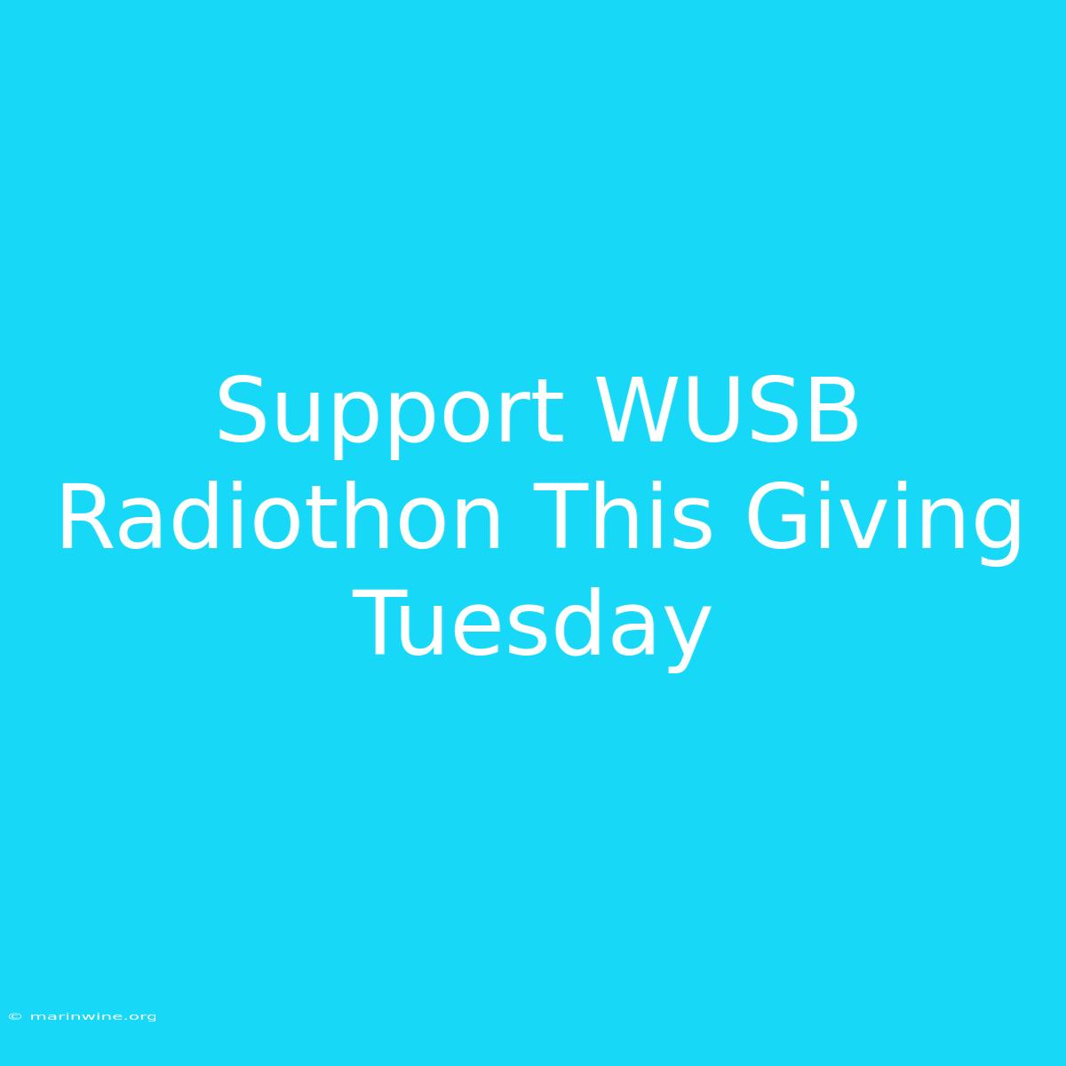 Support WUSB Radiothon This Giving Tuesday