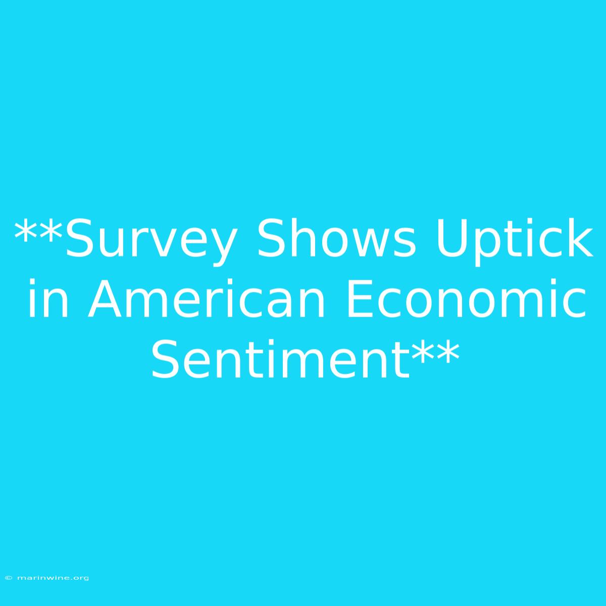 **Survey Shows Uptick In American Economic Sentiment**