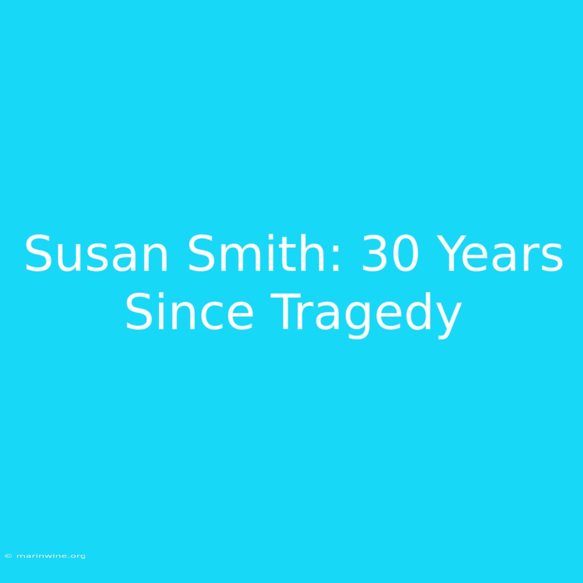 Susan Smith: 30 Years Since Tragedy