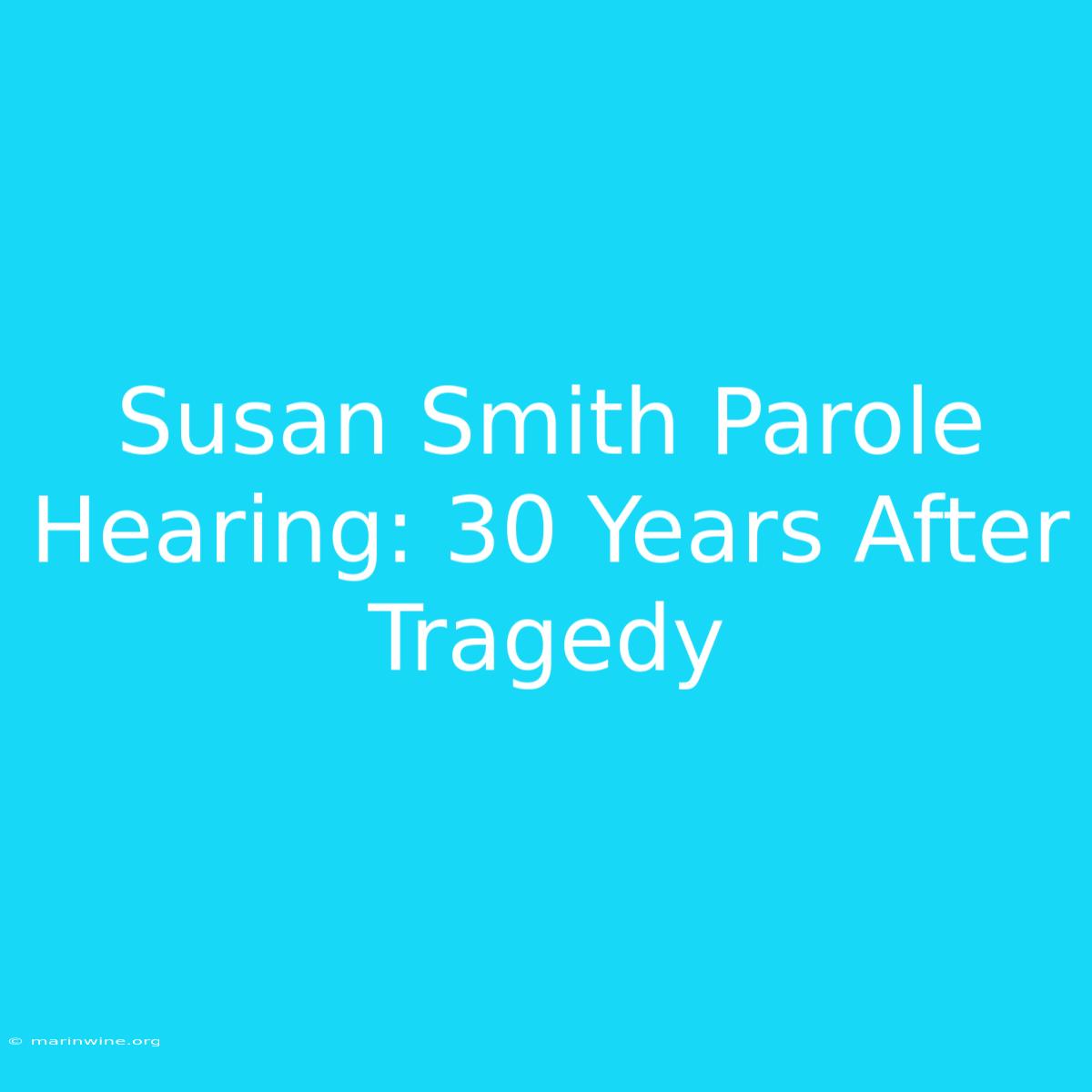 Susan Smith Parole Hearing: 30 Years After Tragedy