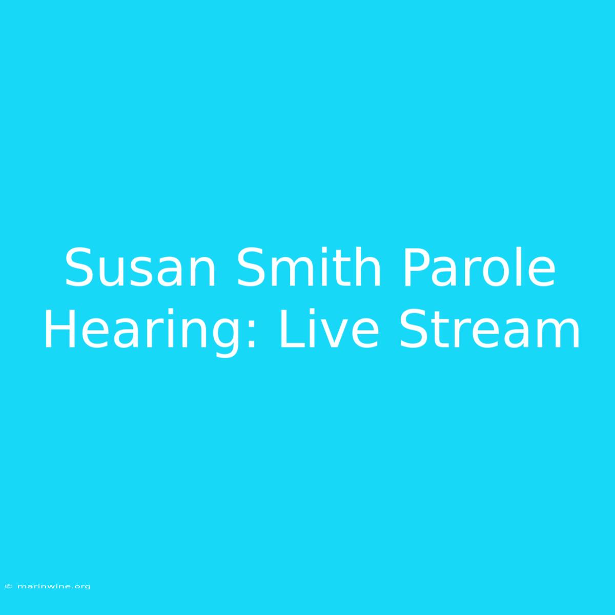 Susan Smith Parole Hearing: Live Stream