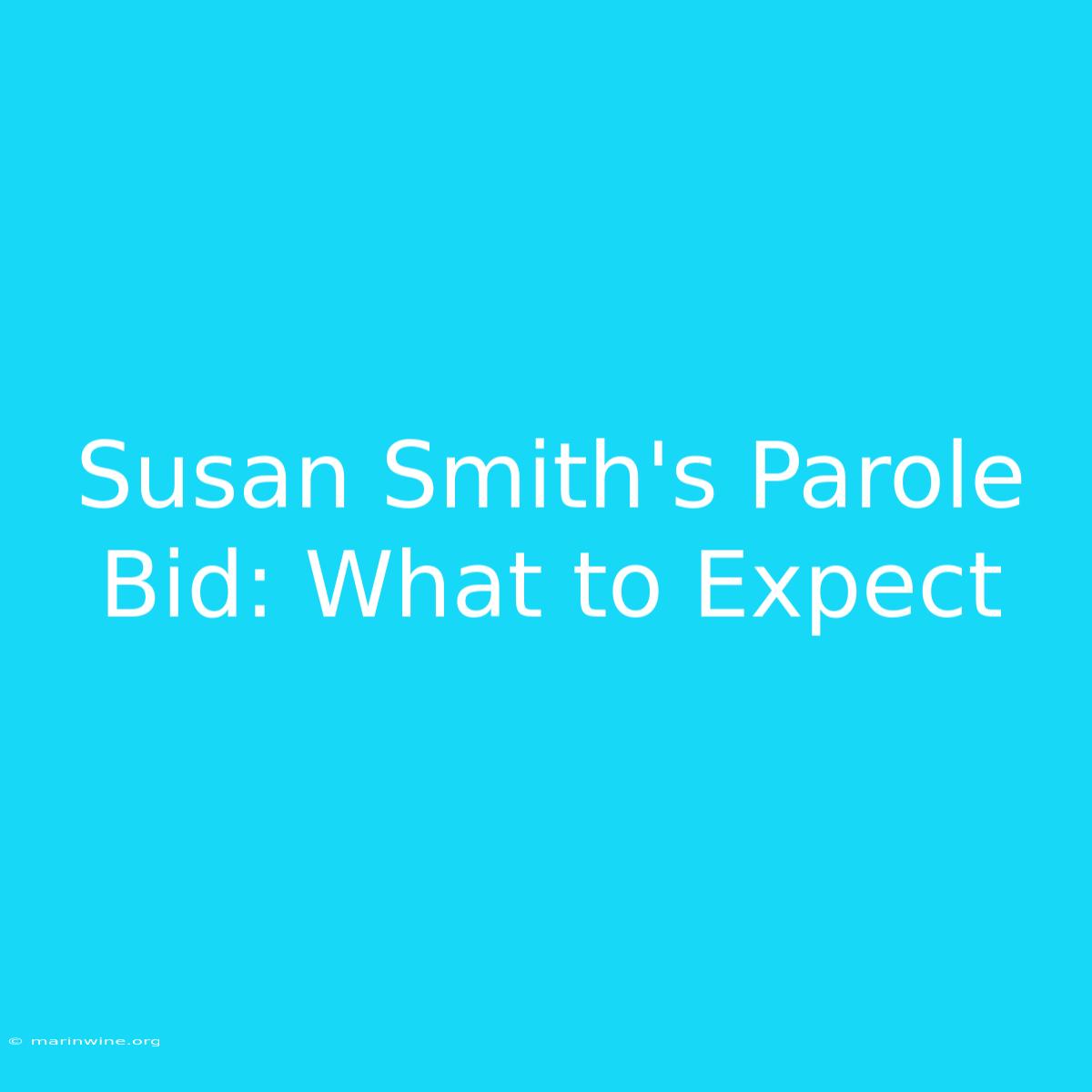 Susan Smith's Parole Bid: What To Expect