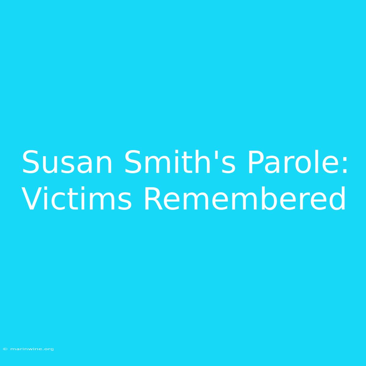 Susan Smith's Parole: Victims Remembered