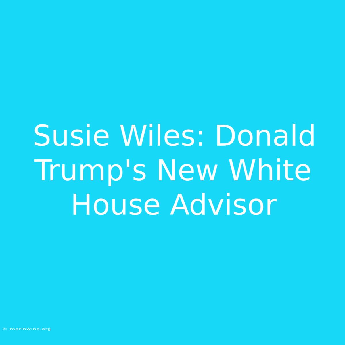 Susie Wiles: Donald Trump's New White House Advisor