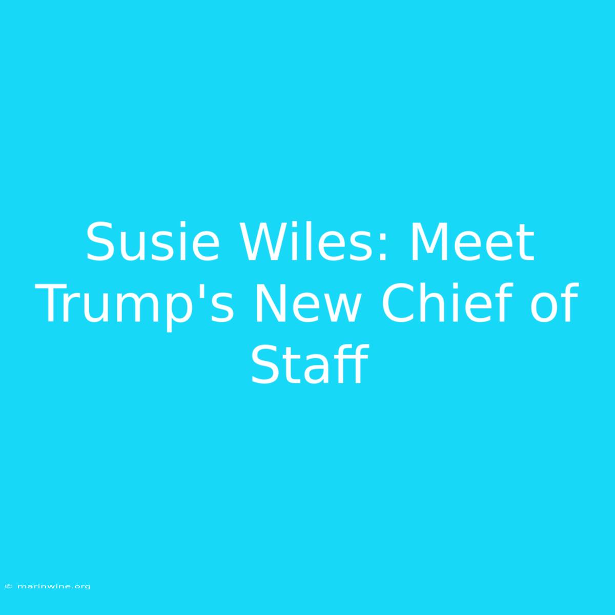 Susie Wiles: Meet Trump's New Chief Of Staff 