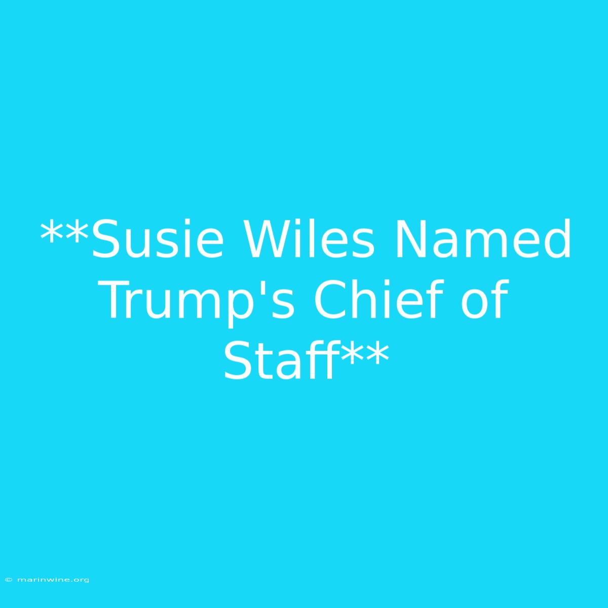 **Susie Wiles Named Trump's Chief Of Staff**