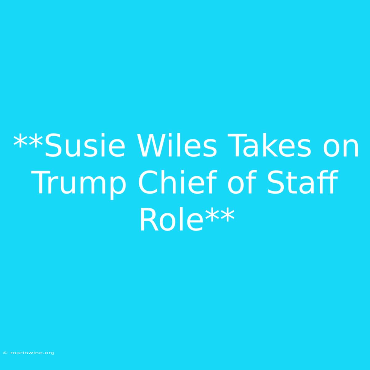 **Susie Wiles Takes On Trump Chief Of Staff Role** 