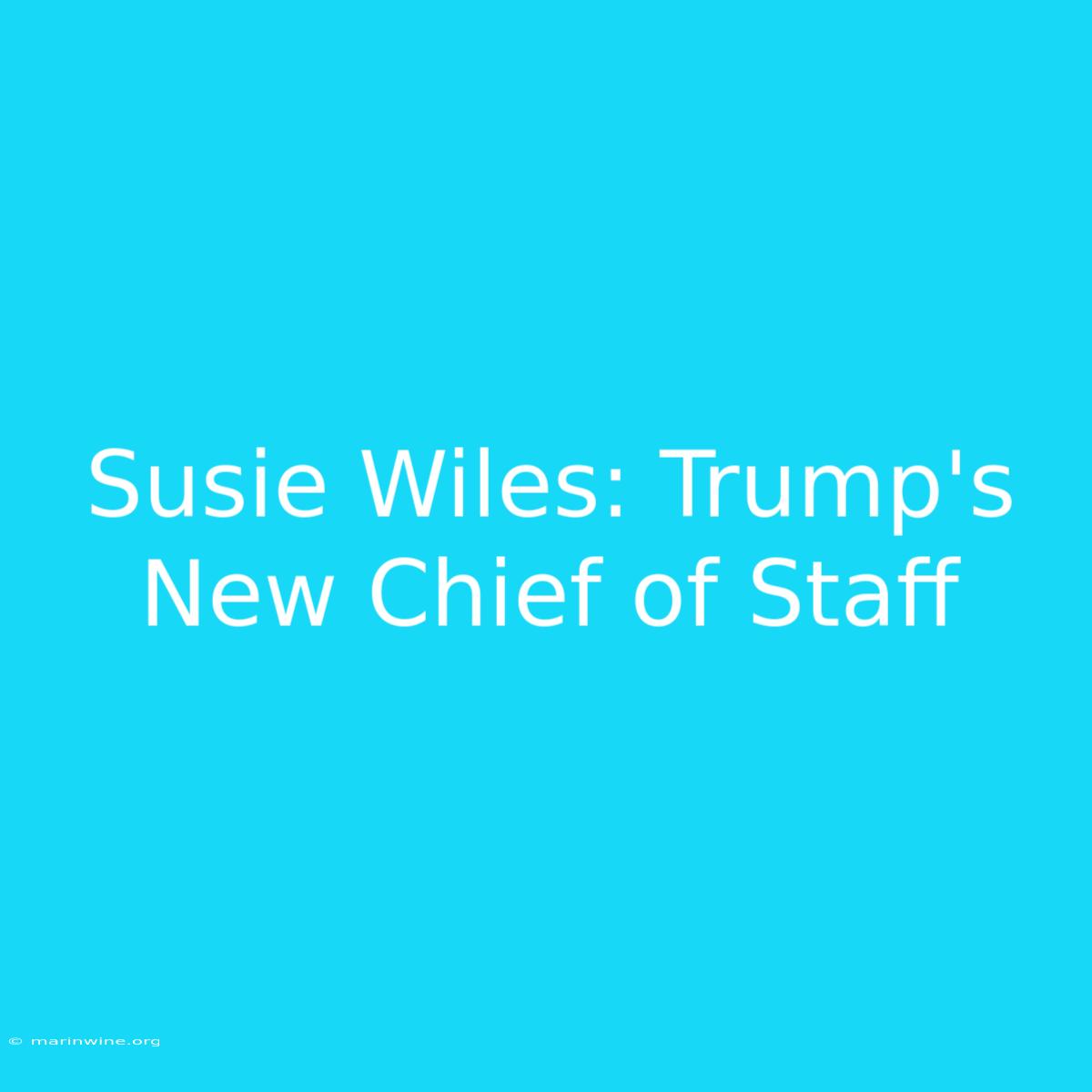 Susie Wiles: Trump's New Chief Of Staff