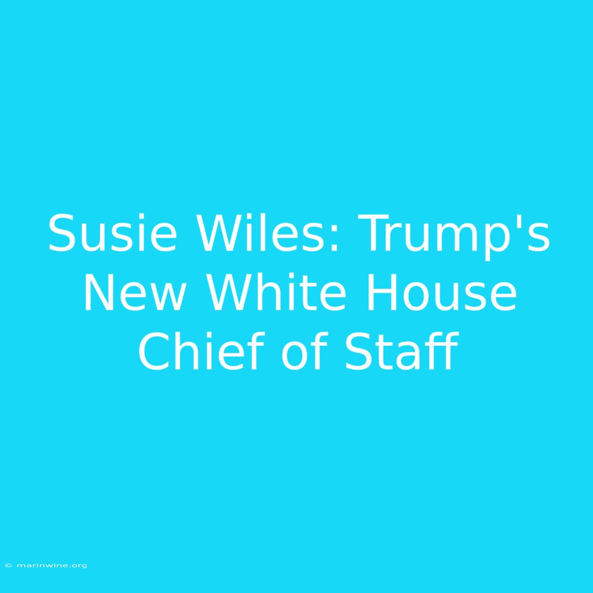 Susie Wiles: Trump's New White House Chief Of Staff