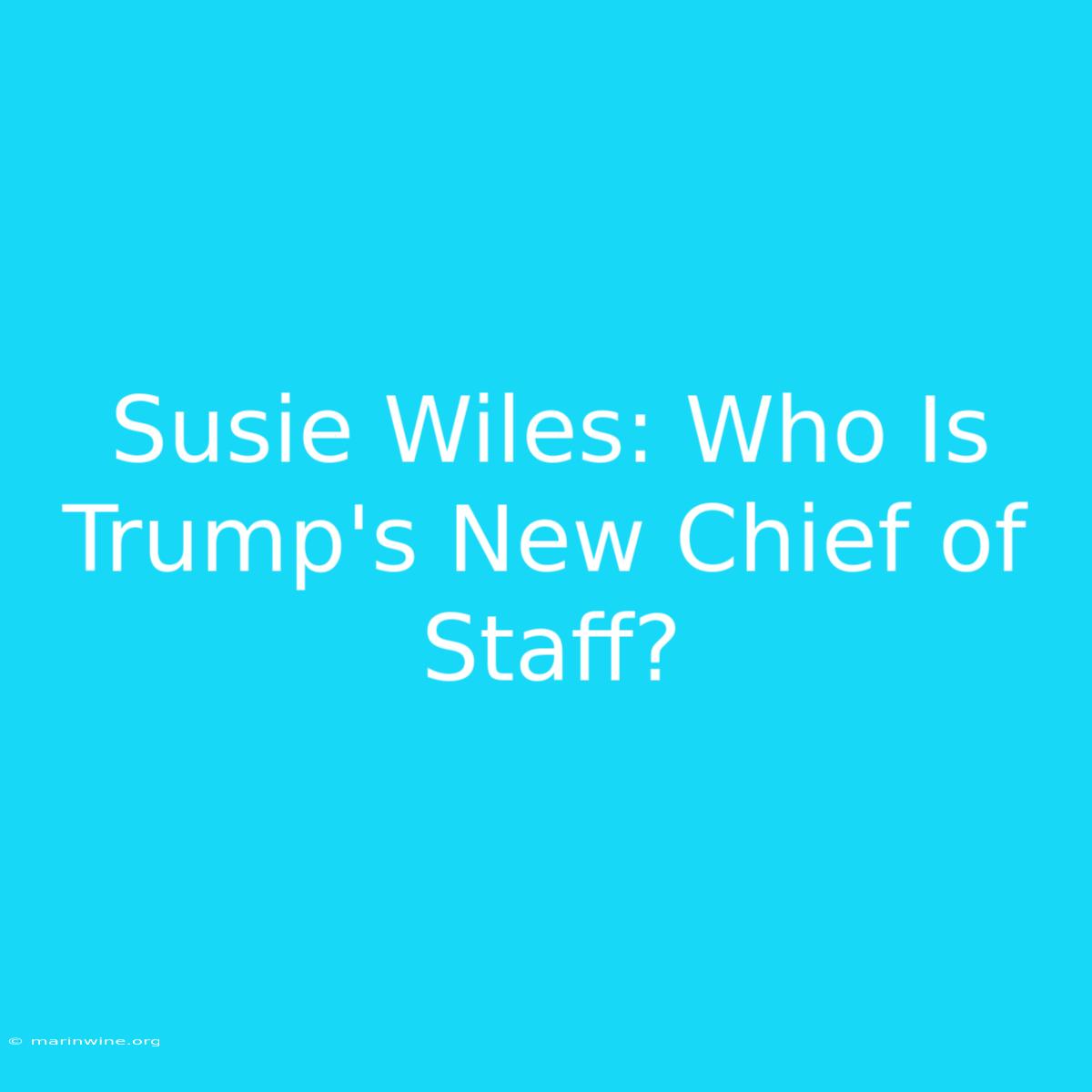 Susie Wiles: Who Is Trump's New Chief Of Staff? 