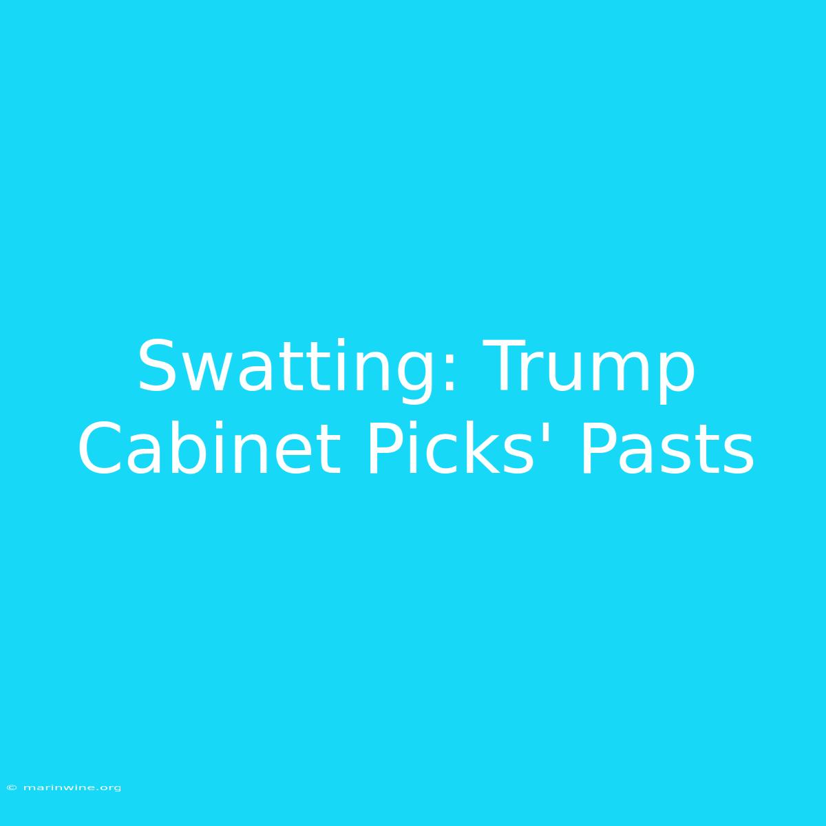 Swatting: Trump Cabinet Picks' Pasts