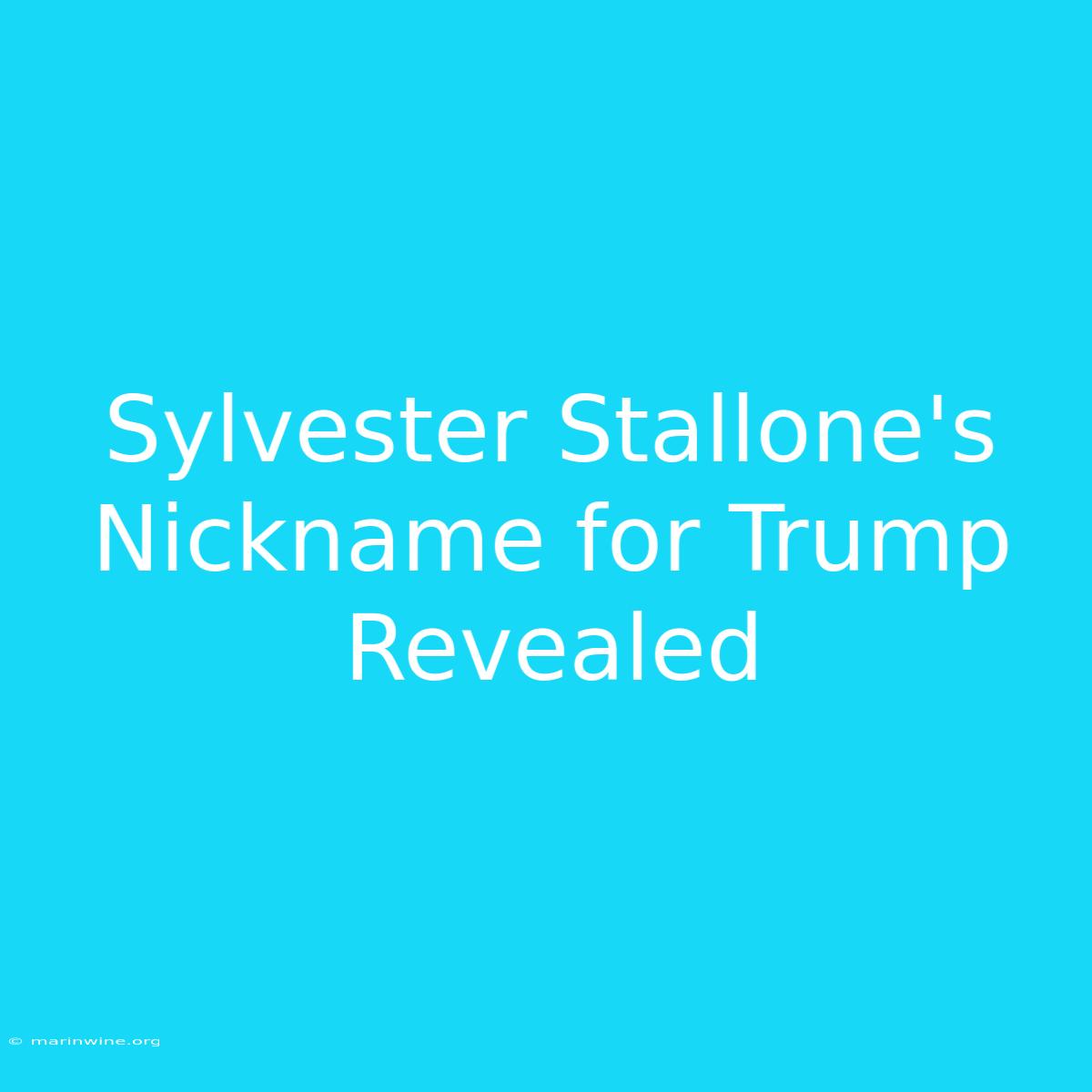 Sylvester Stallone's Nickname For Trump Revealed