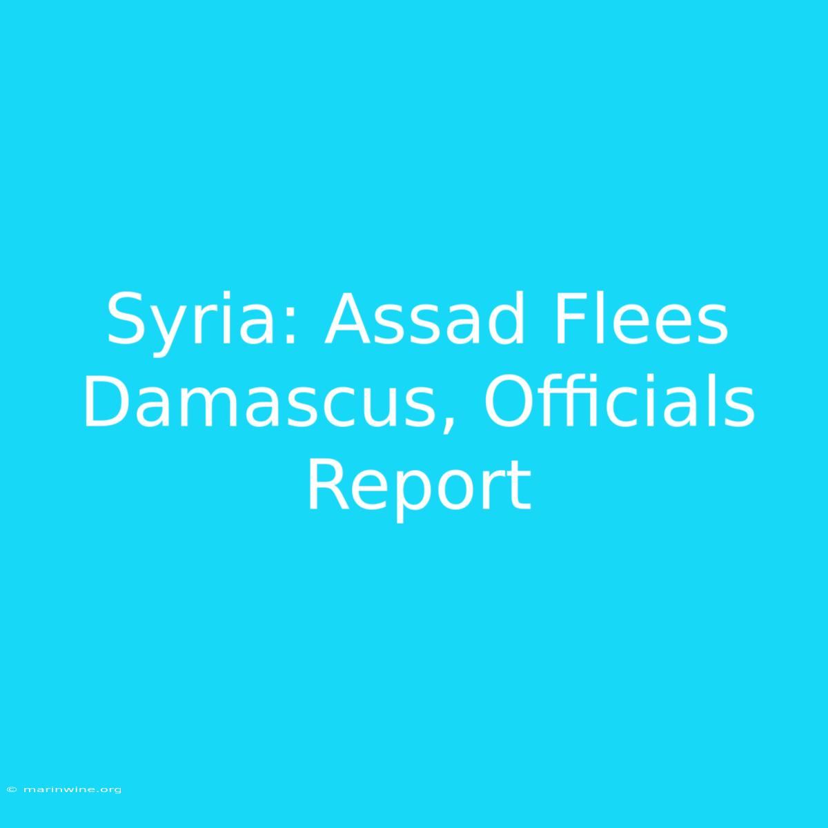 Syria: Assad Flees Damascus, Officials Report