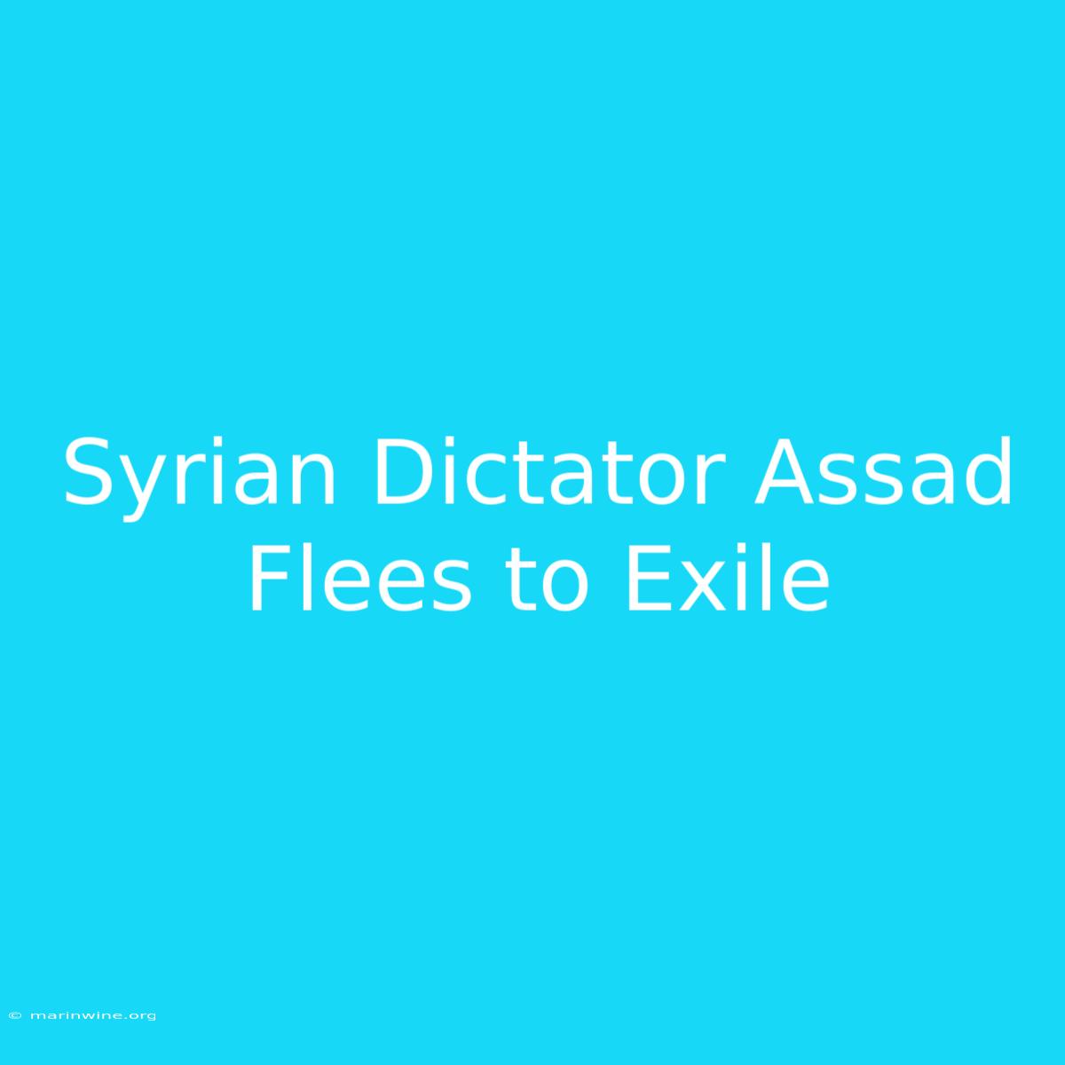 Syrian Dictator Assad Flees To Exile