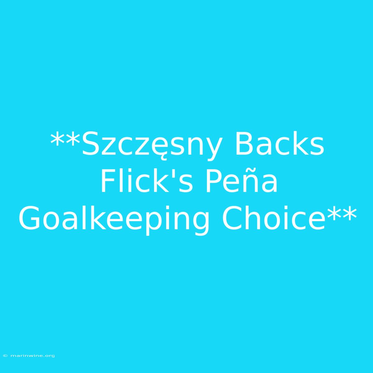 **Szczęsny Backs Flick's Peña Goalkeeping Choice** 