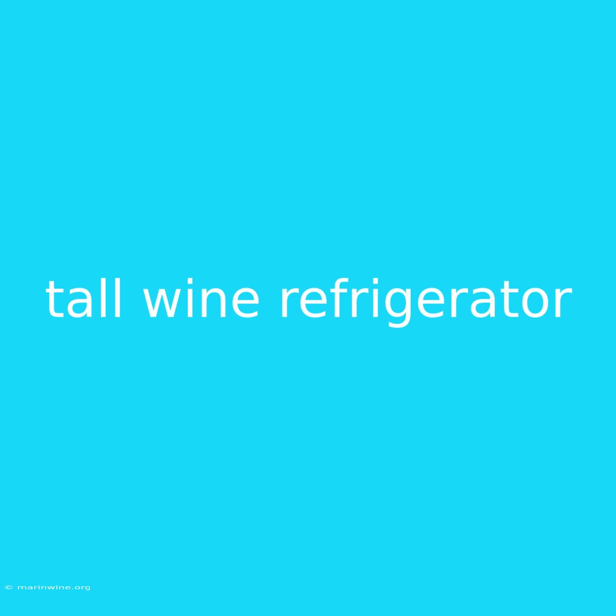 Tall Wine Refrigerator